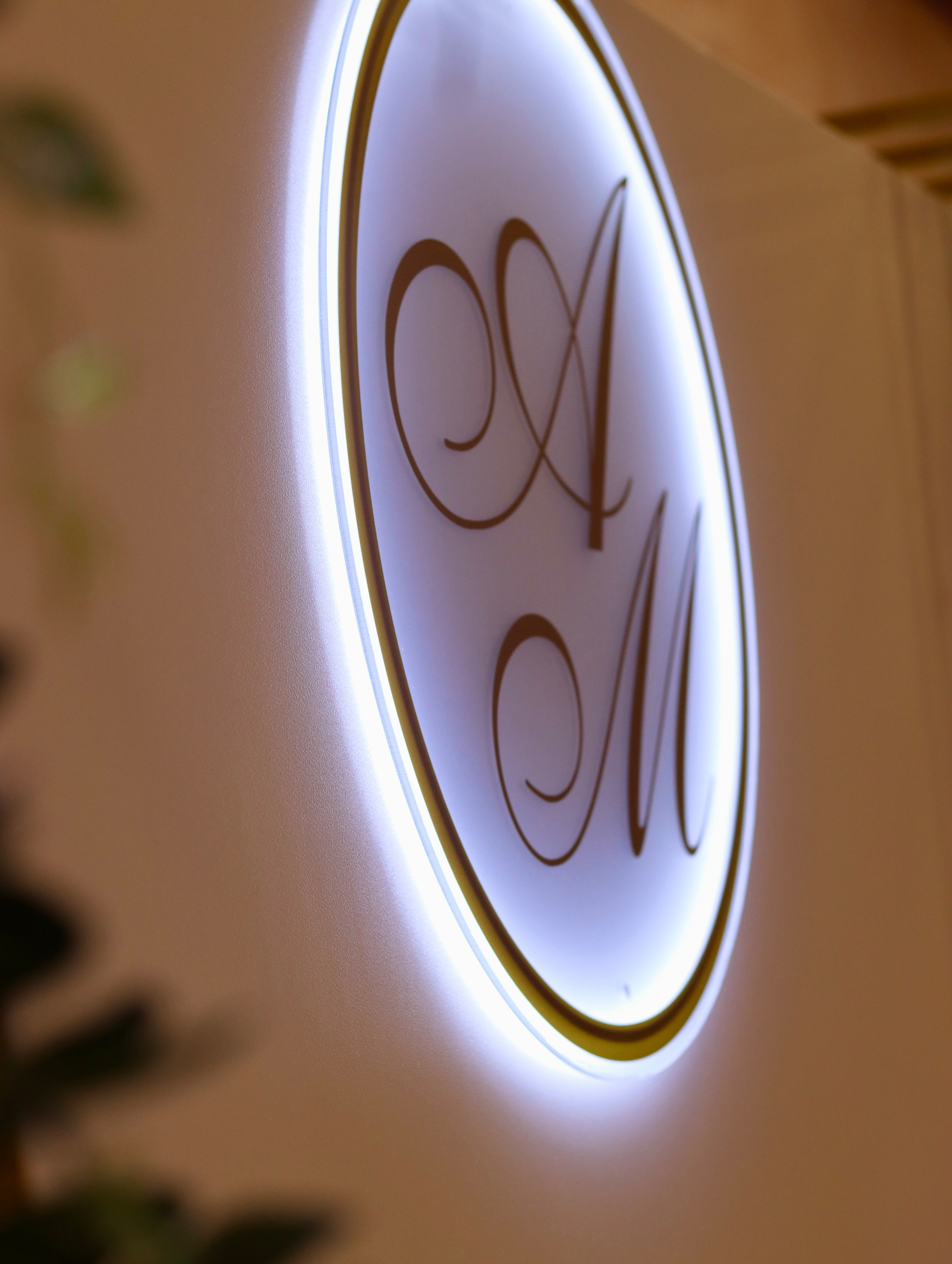 Свадебный банкет Андрея и Марины. Фотограф в Курске Смирнов Евгений