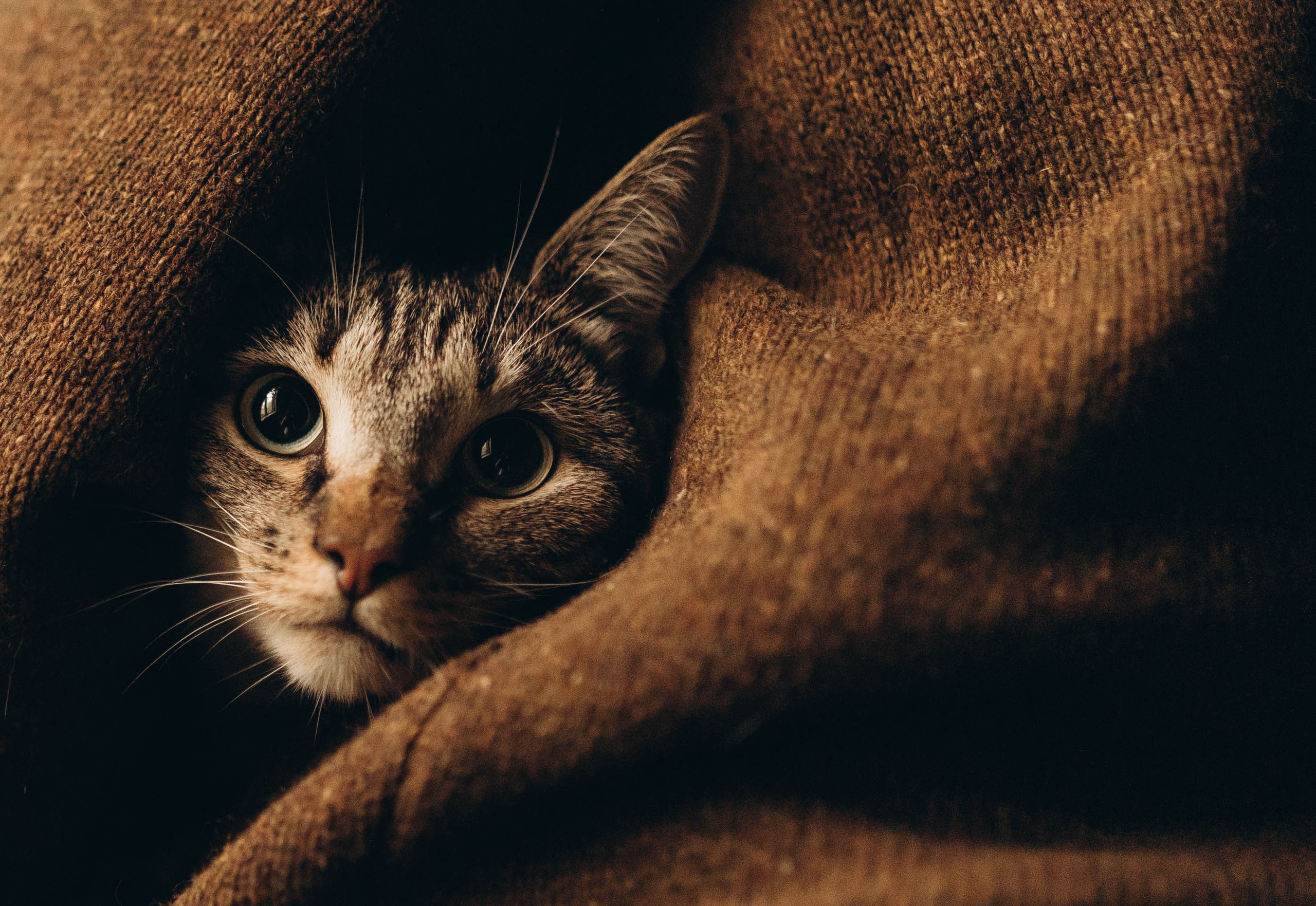 Павел и Настя. Татьяна Афонина | Фотограф