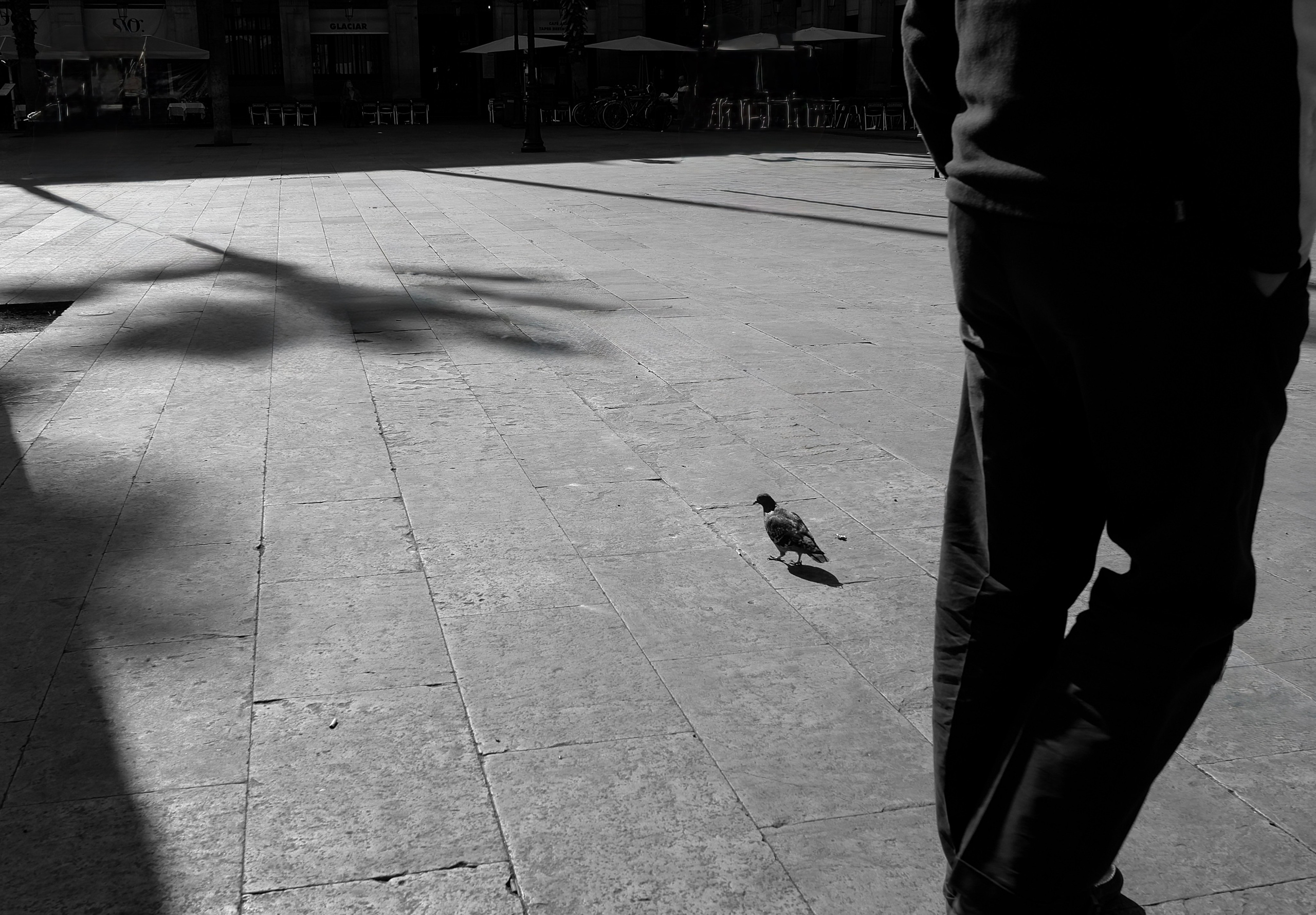 Фотографии из Европейских городов для интерьеров. Фотографии Руслана Сайдалиева (Рус Сай)