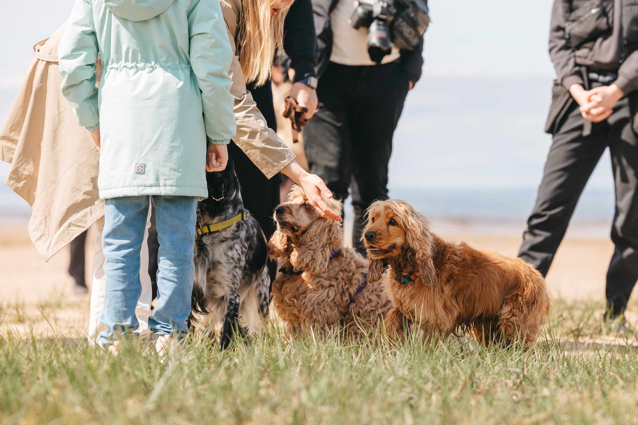 Спанимания. Фотограф анималист Осипчикова Мария