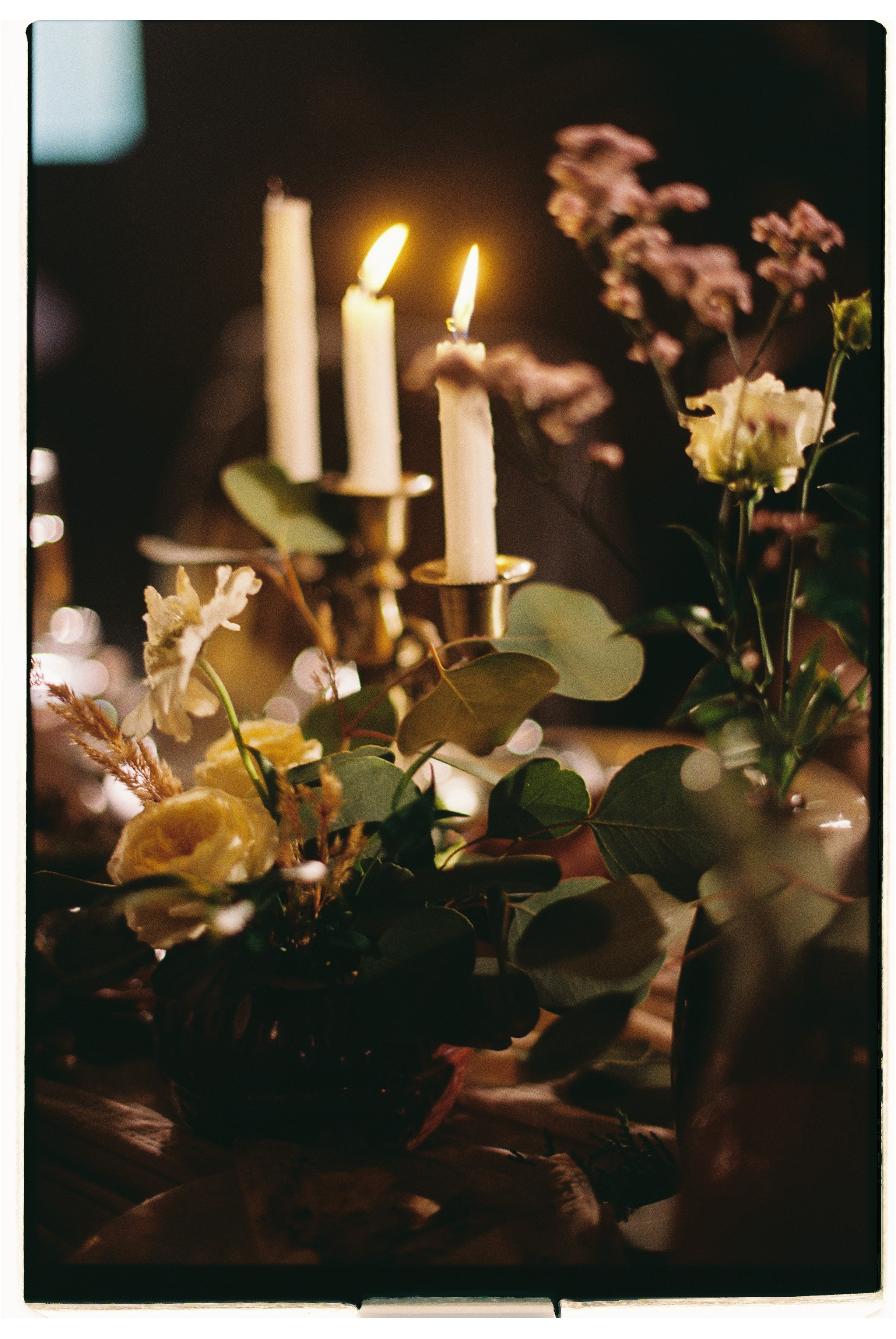 Pine River Иван и Екатерина. Афина Ефимова. Свадебный фотограф Москва