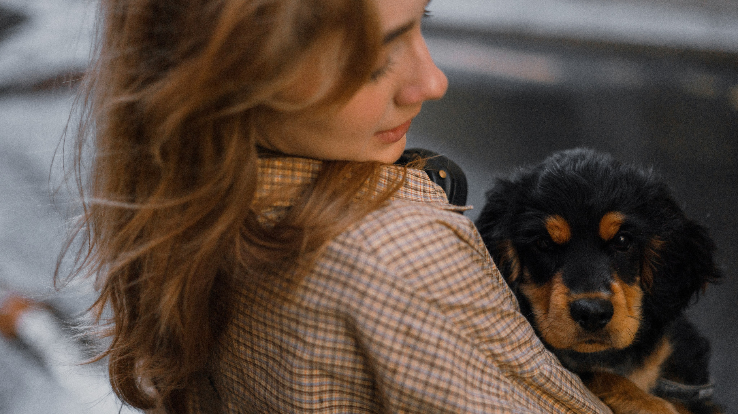 Аня и Ривер. Фотограф-анималист Богданова Полина