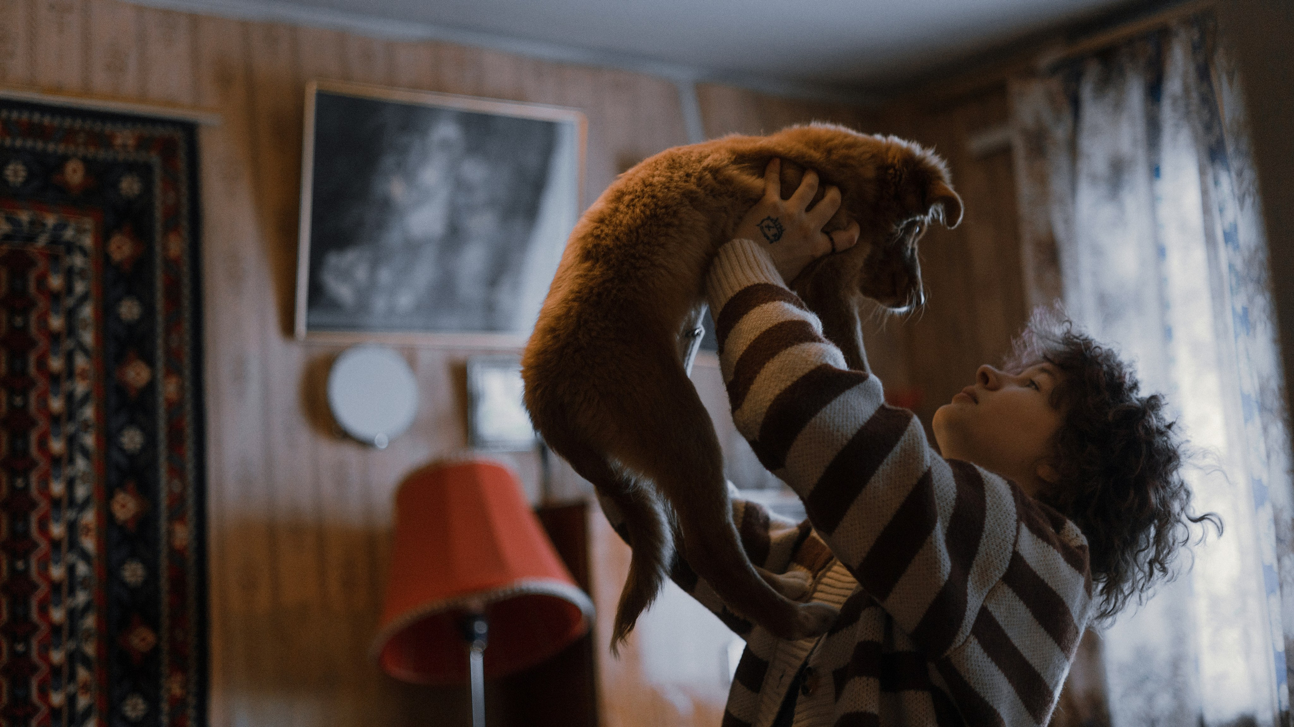 Лера, Реджи и Ральф. Фотограф-анималист Богданова Полина