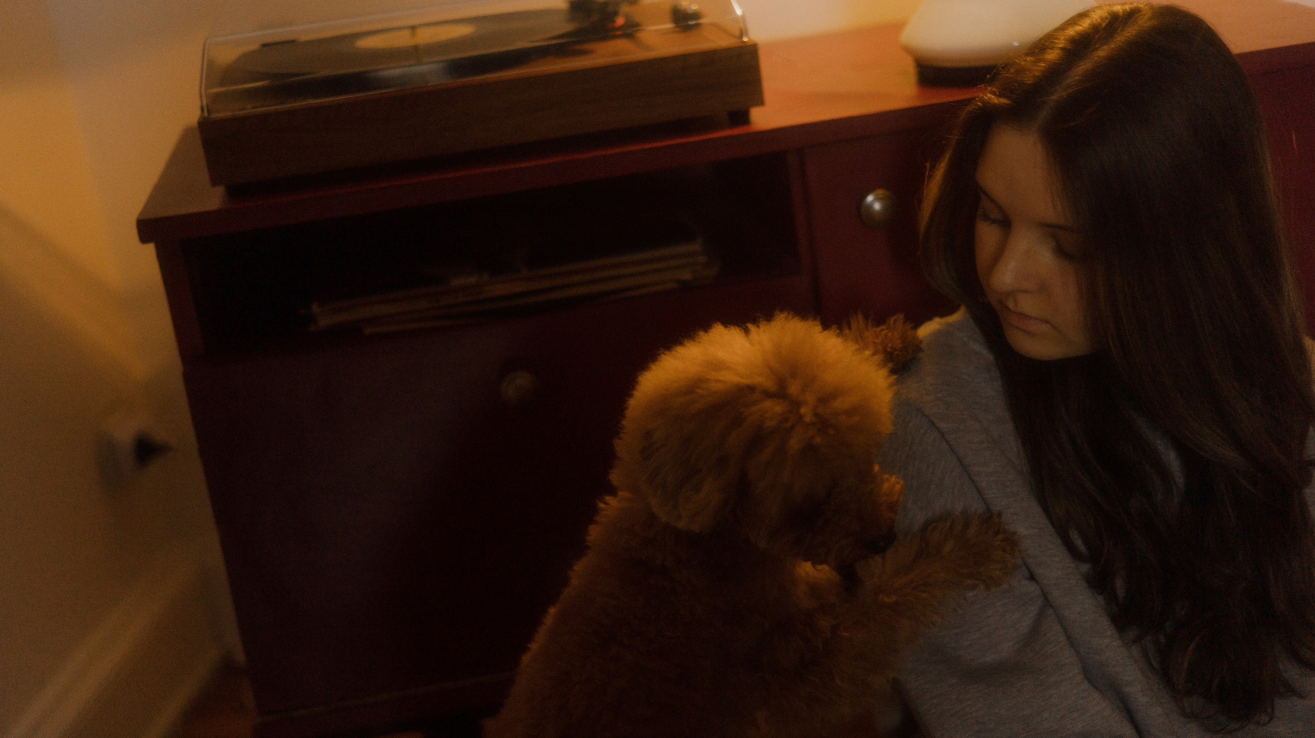 Маша, Одди и Нэвил. Фотограф-анималист Богданова Полина