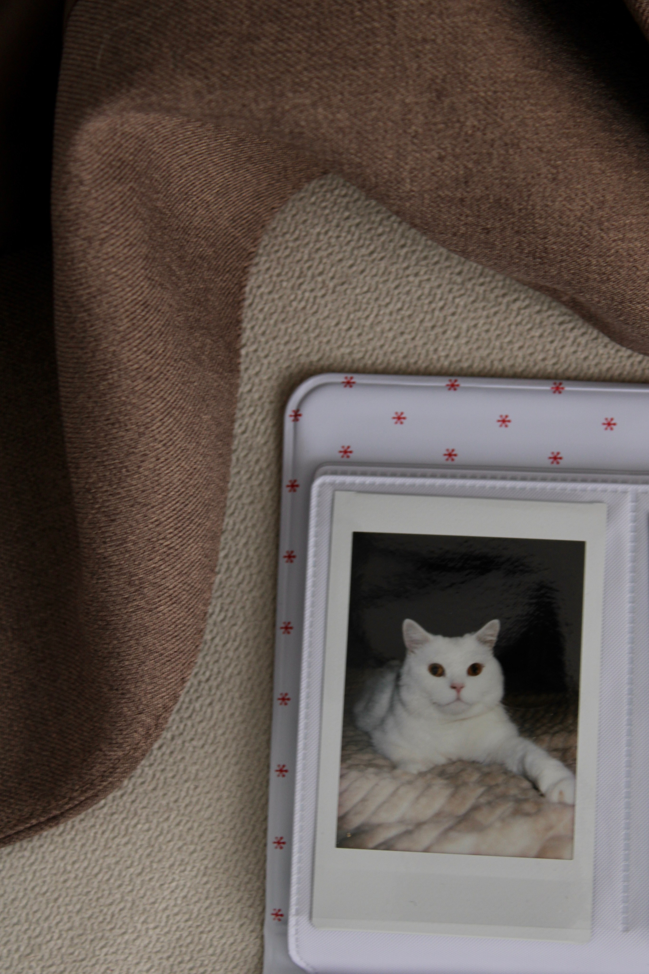 Лидия. Портретный фотограф Тольятти