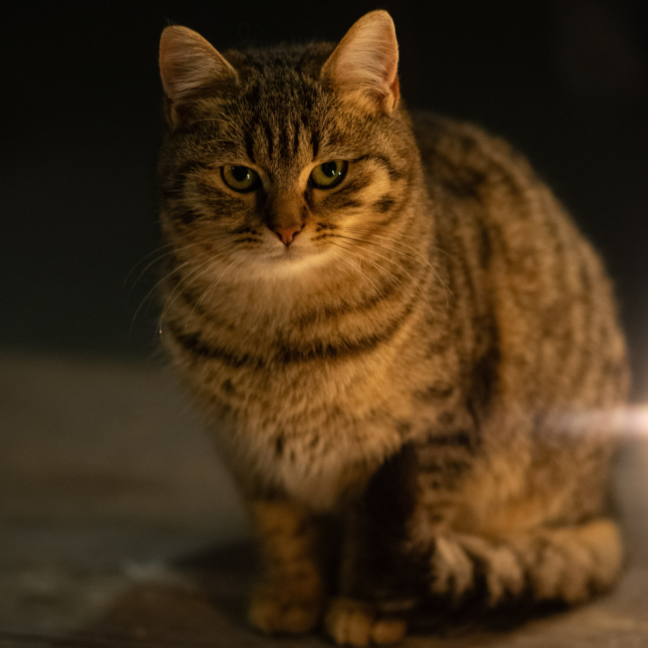 Примеры фотографий SMC Pentax 67 105mm f2.4 через переходник на Sony A7