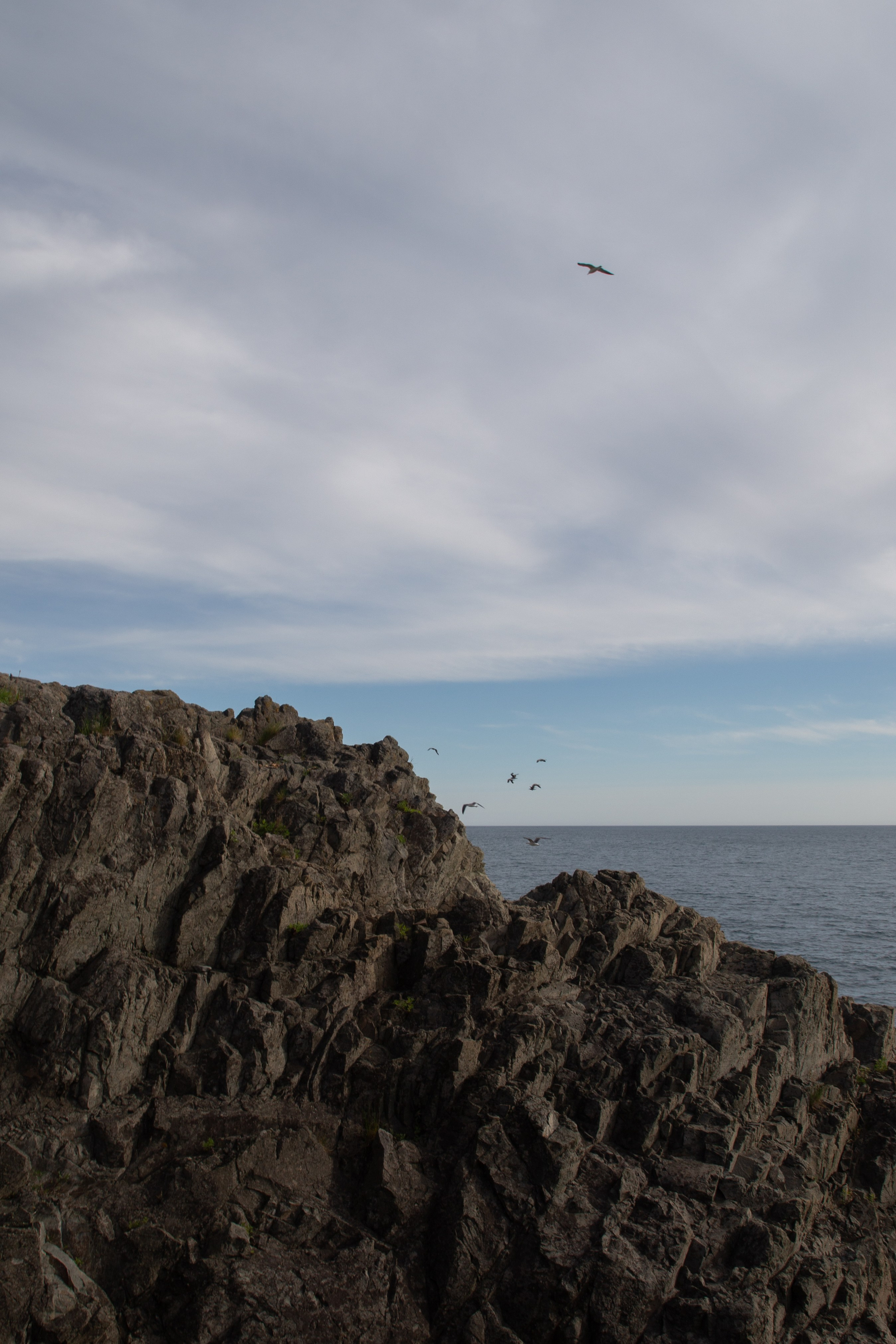 Съемка с Машей и Сашулей на мысе Полосатик. Ирина Чернова — портретный фотограф и маркетолог из Владивостока