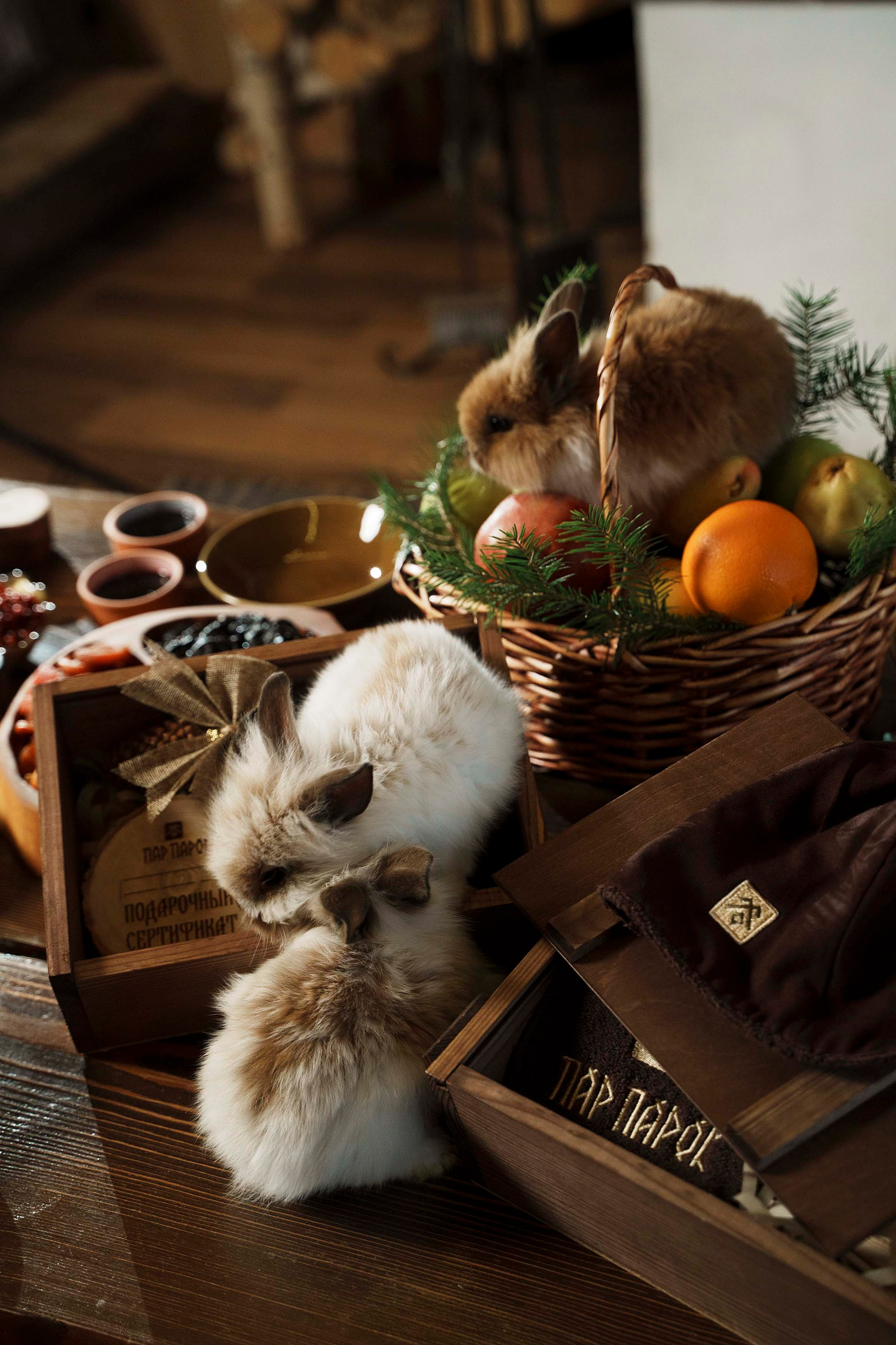 Банный комплекс «Пар-Парок». Фотограф Казань