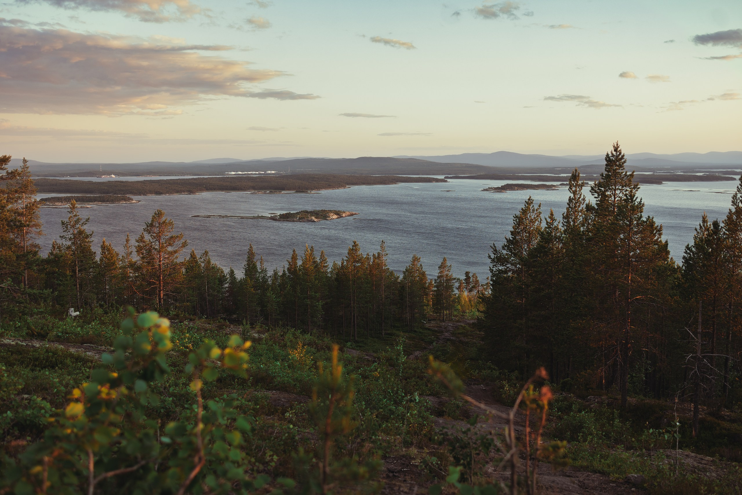 Кандалакшка. Фотограф анималист Никита Натальный