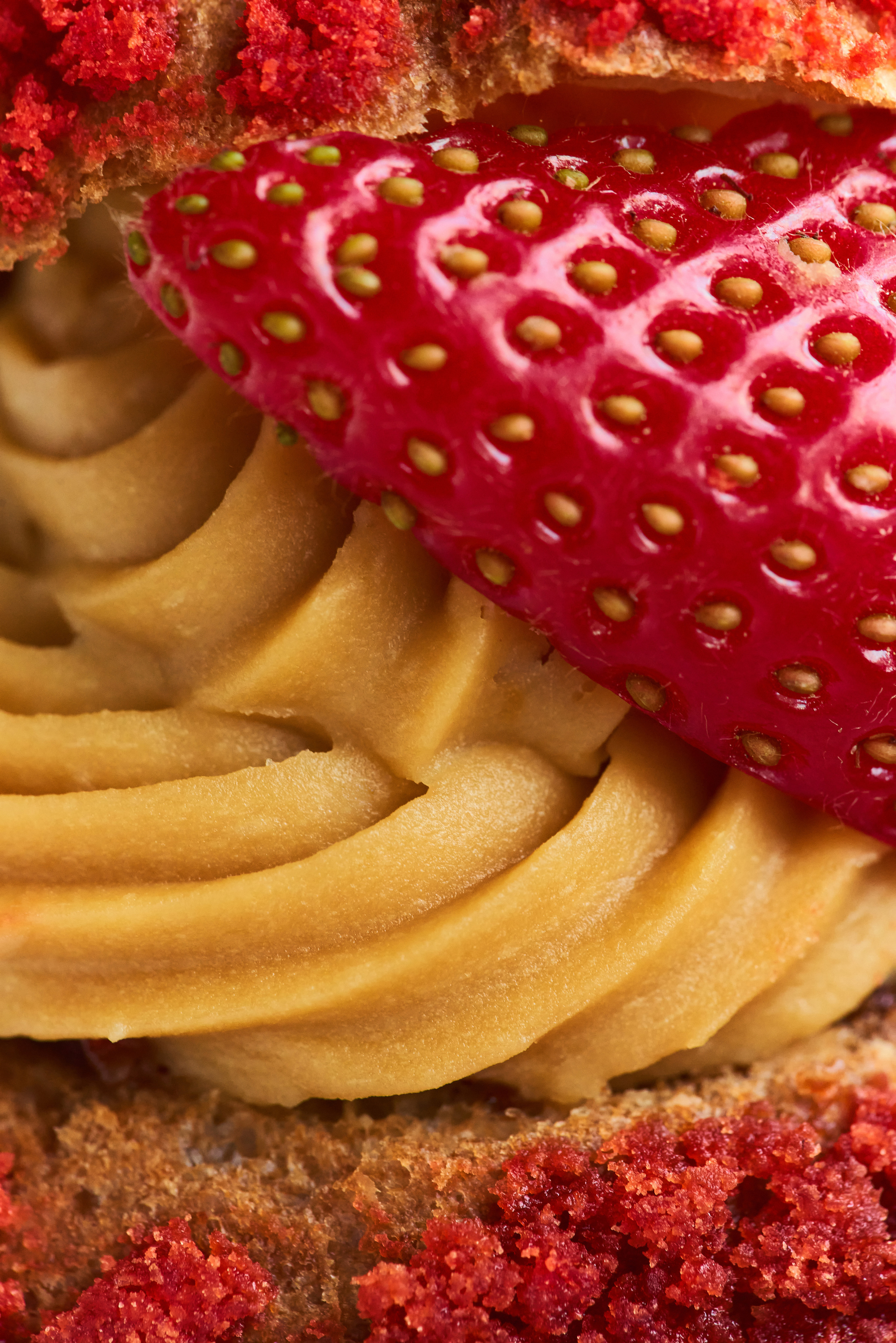 Dune rest. Контент фотограф в Москве Александр Хитько