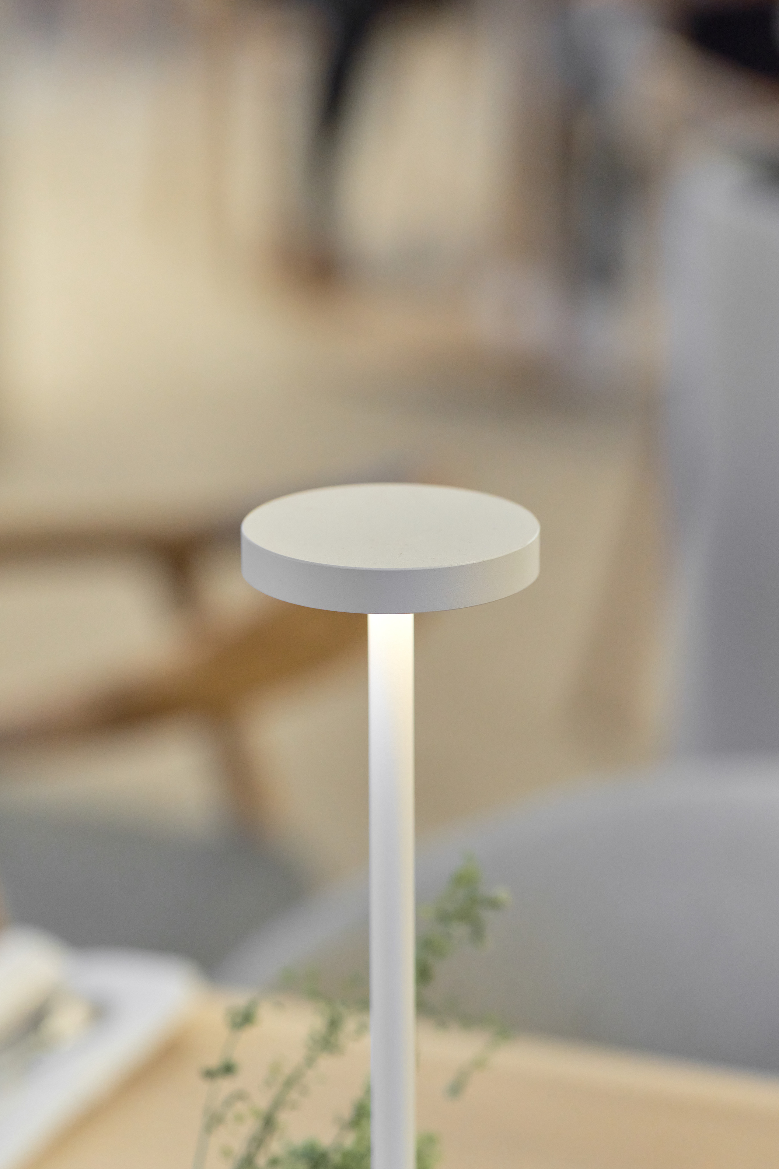 Dune rest. Контент фотограф в Москве Александр Хитько