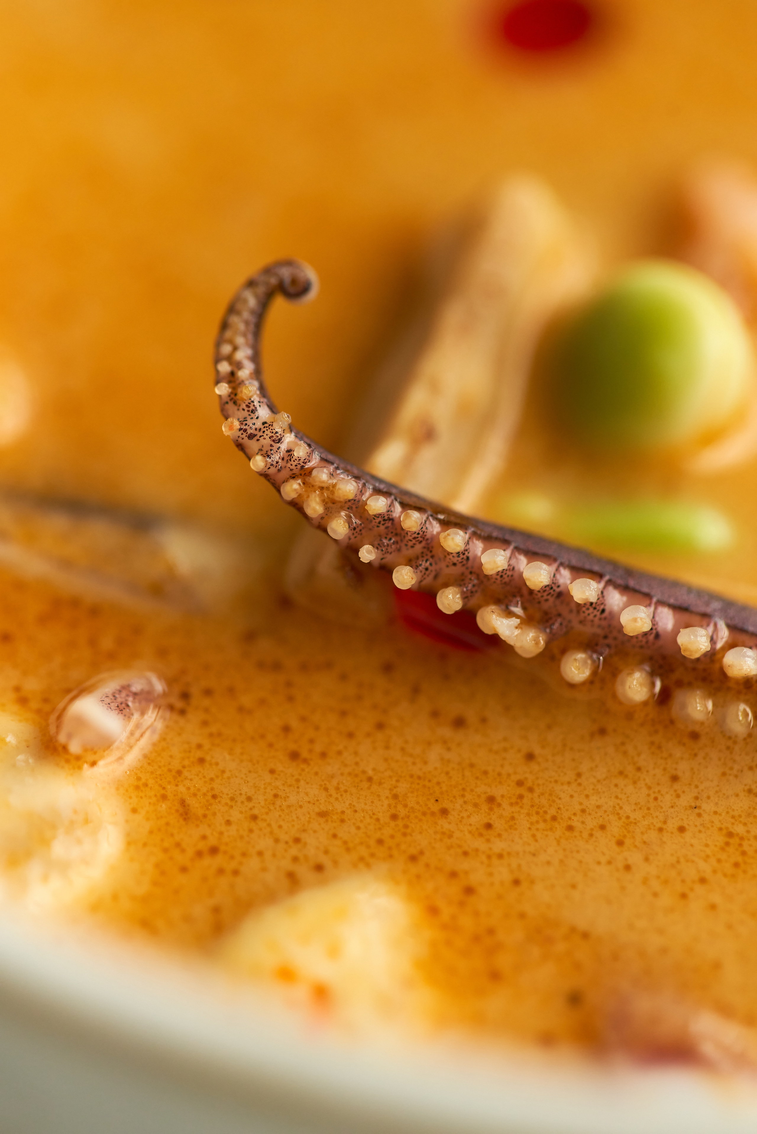 Dune rest. Контент фотограф в Москве Александр Хитько