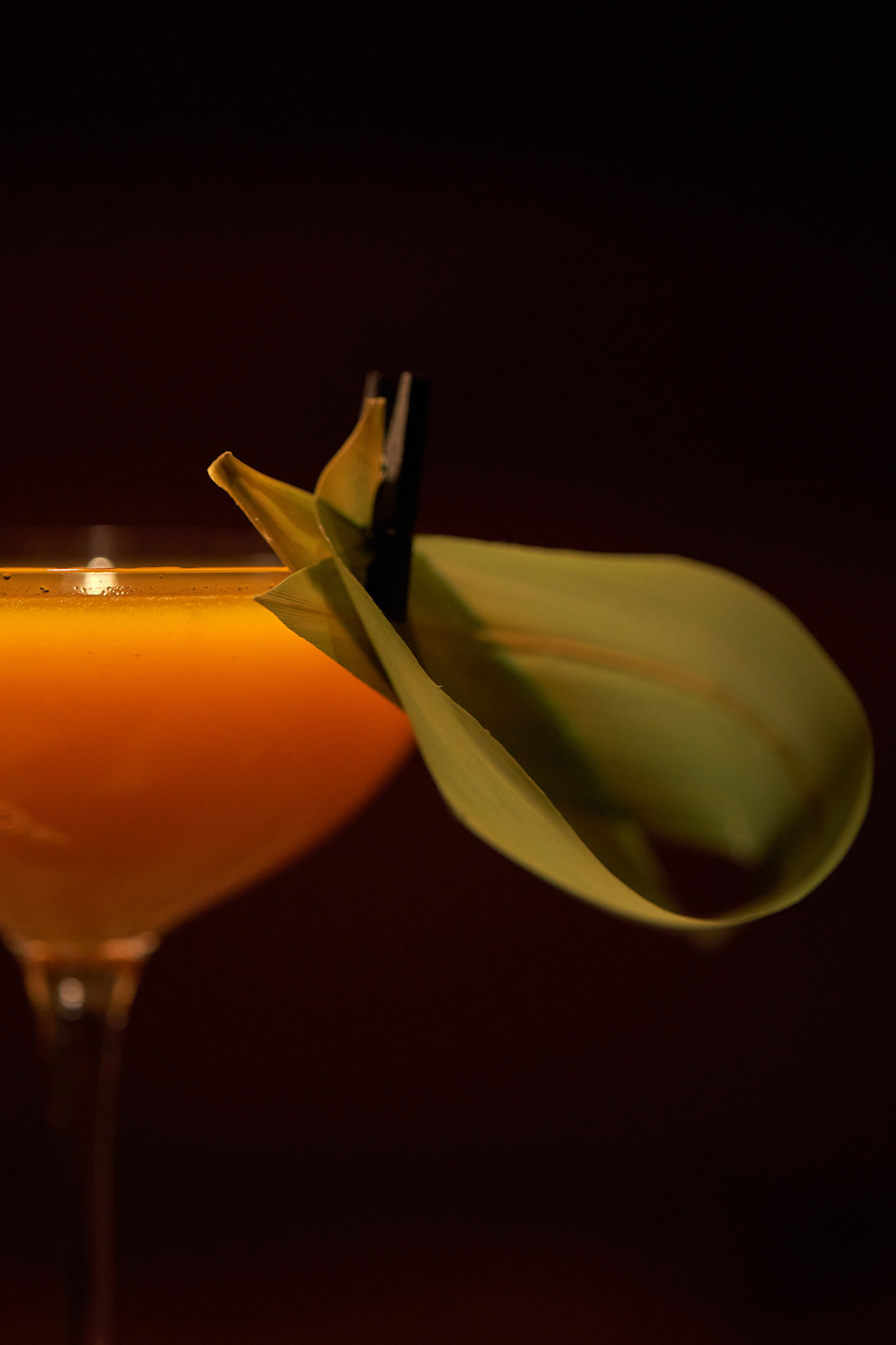 Backroom. Контент фотограф в Москве Александр Хитько