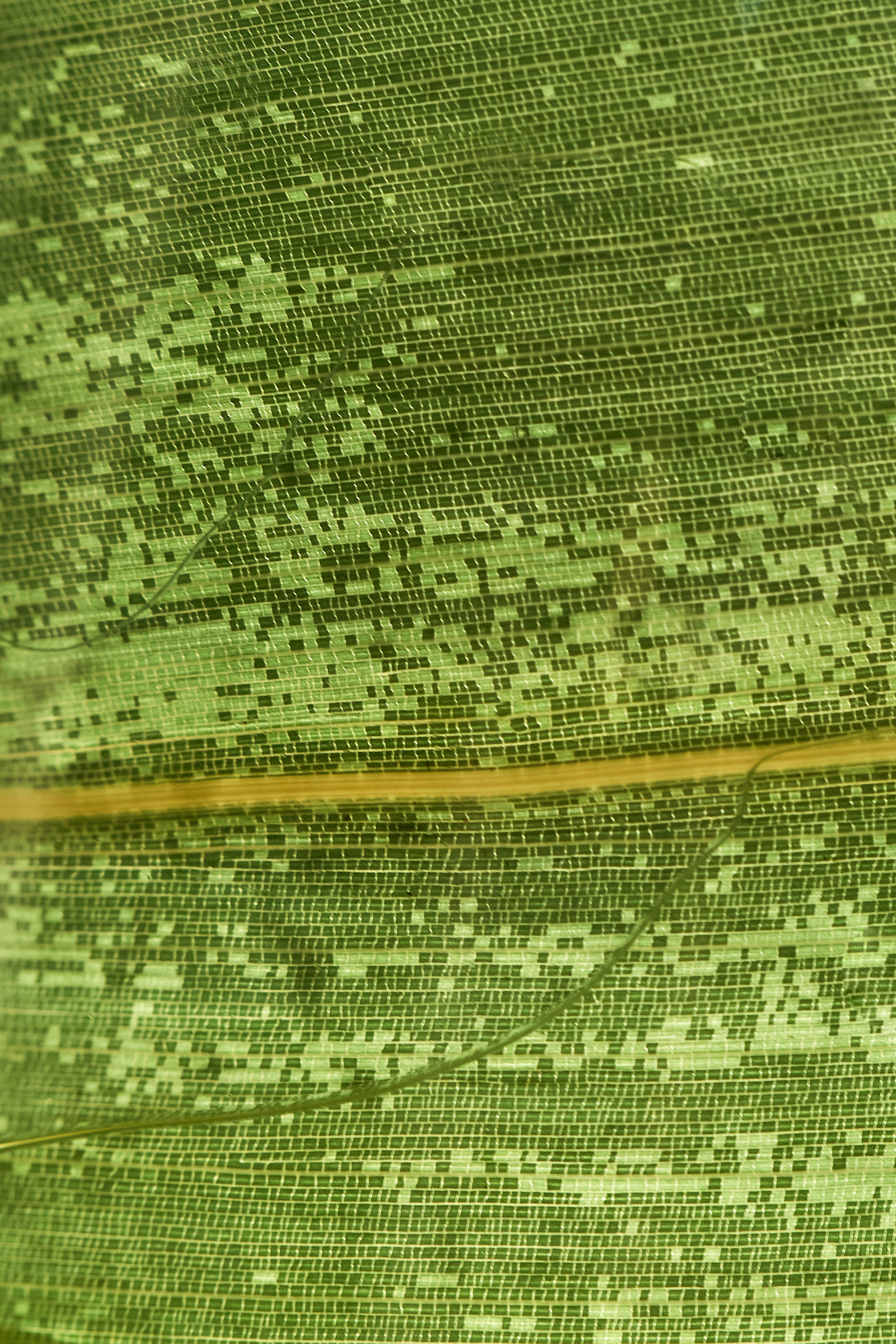 Dune rest. Контент фотограф в Москве Александр Хитько