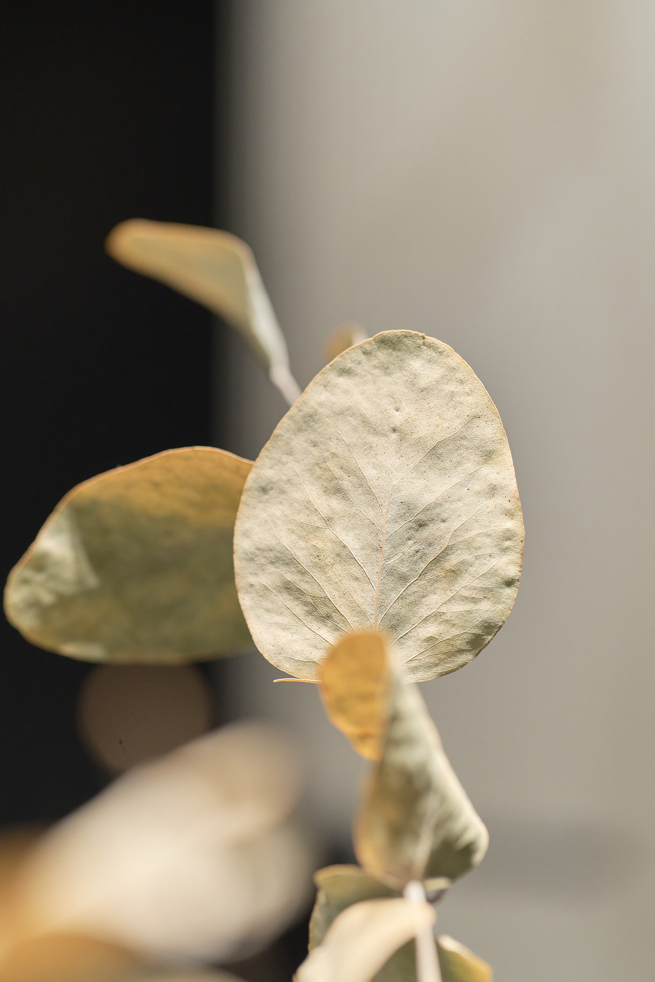 Dune rest. Контент фотограф в Москве Александр Хитько