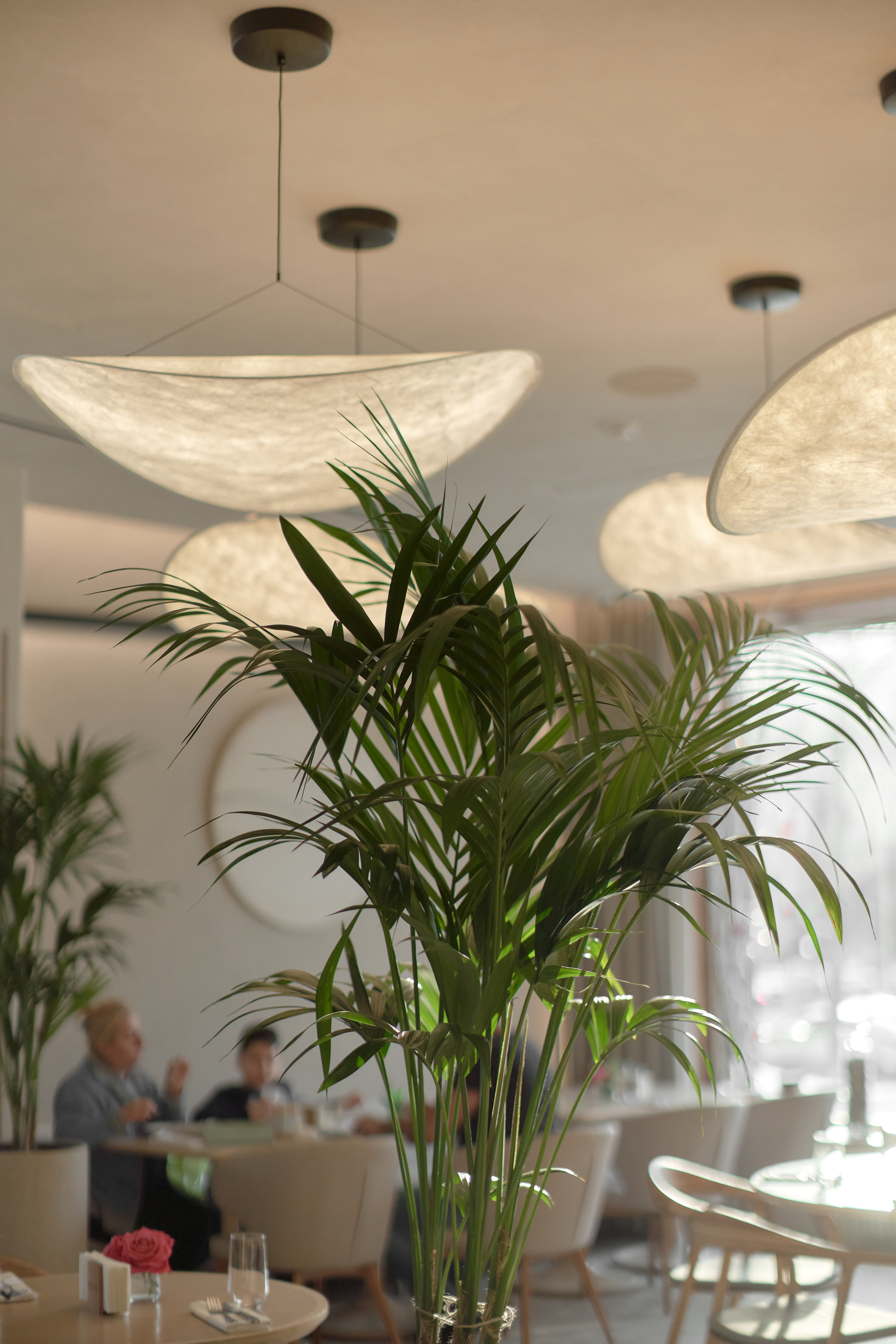 Dune rest. Контент фотограф в Москве Александр Хитько