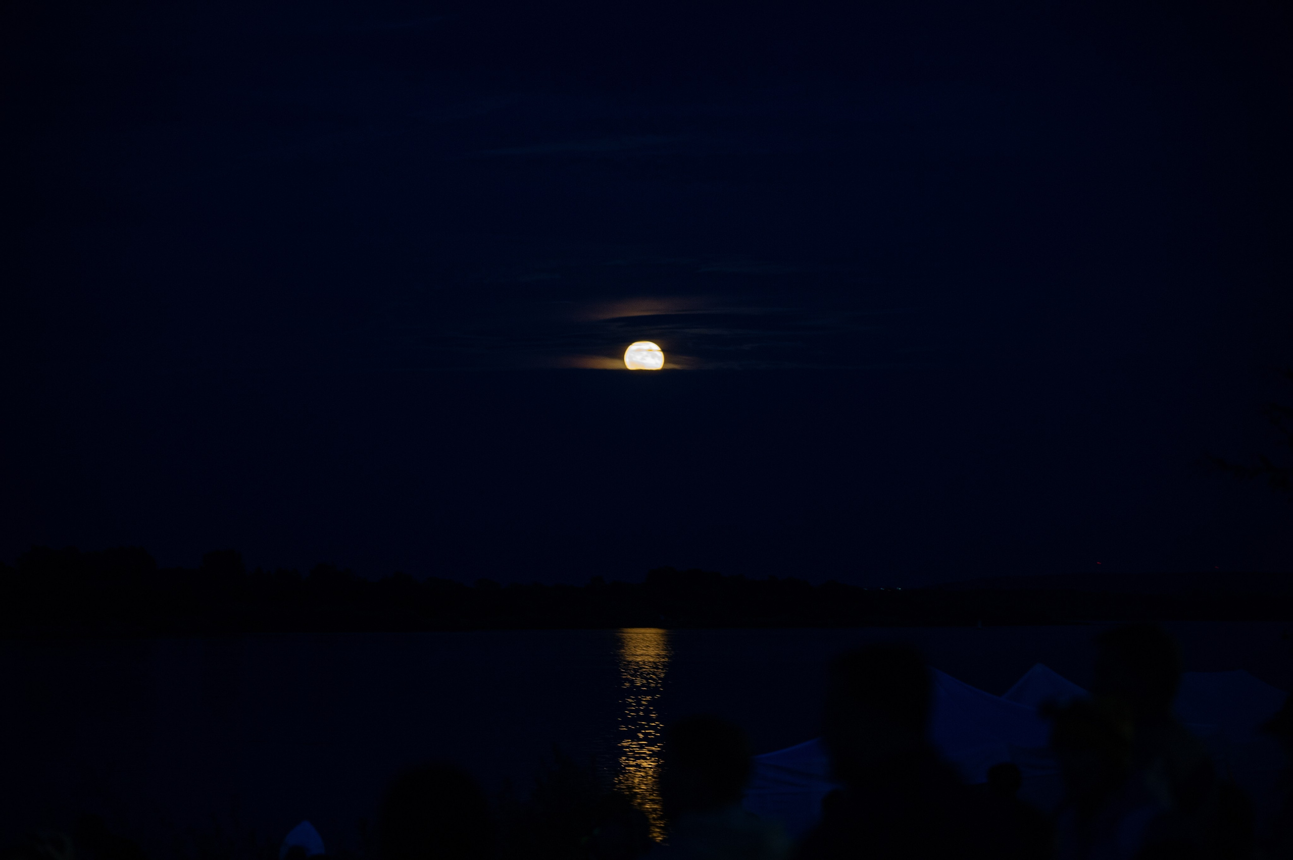 Семейный экофестиваль «АртЛуга». Фотограф Шариков Илья