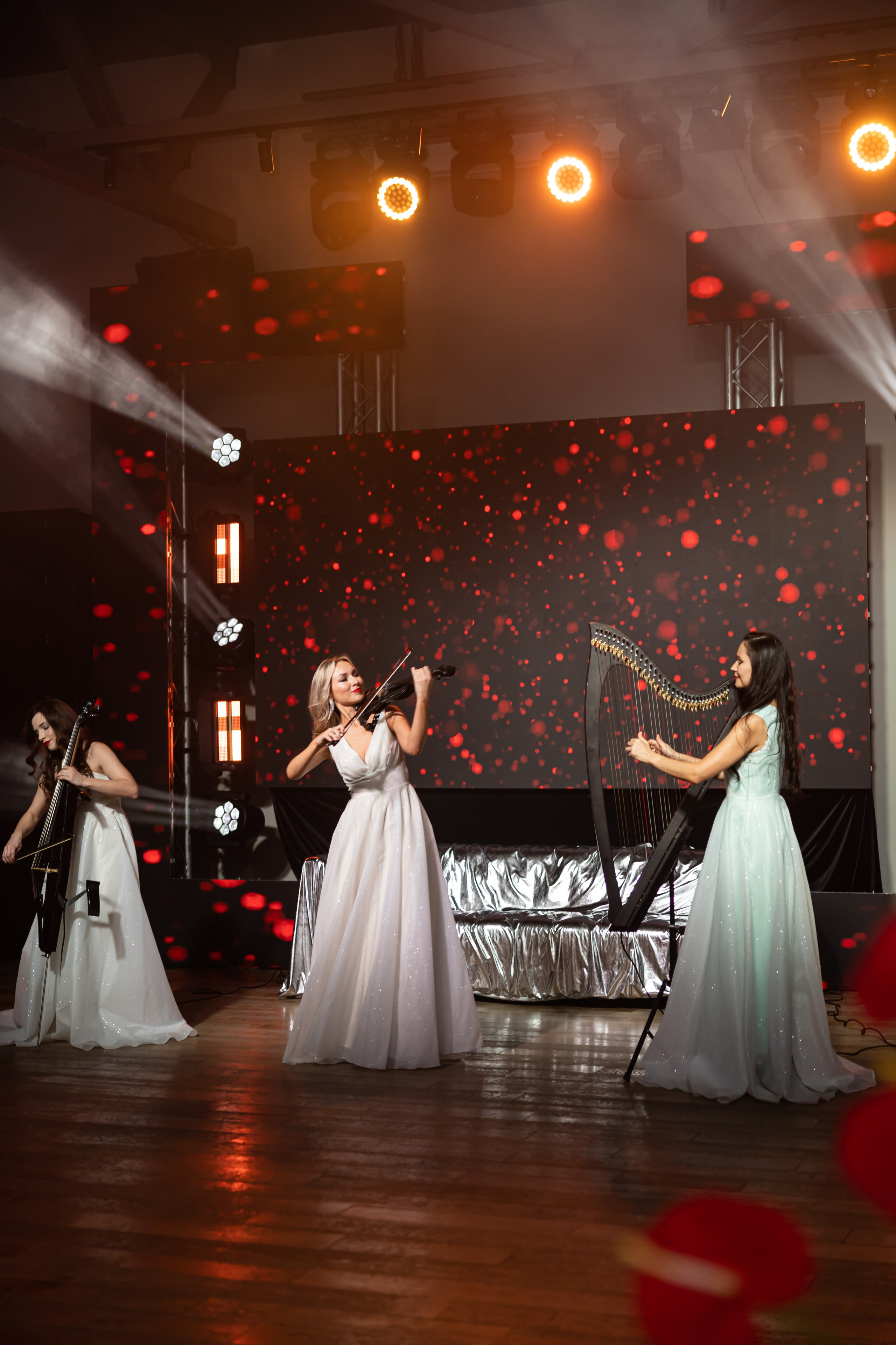 Галла ужин 16.02. Фотограф Элла Ефимова