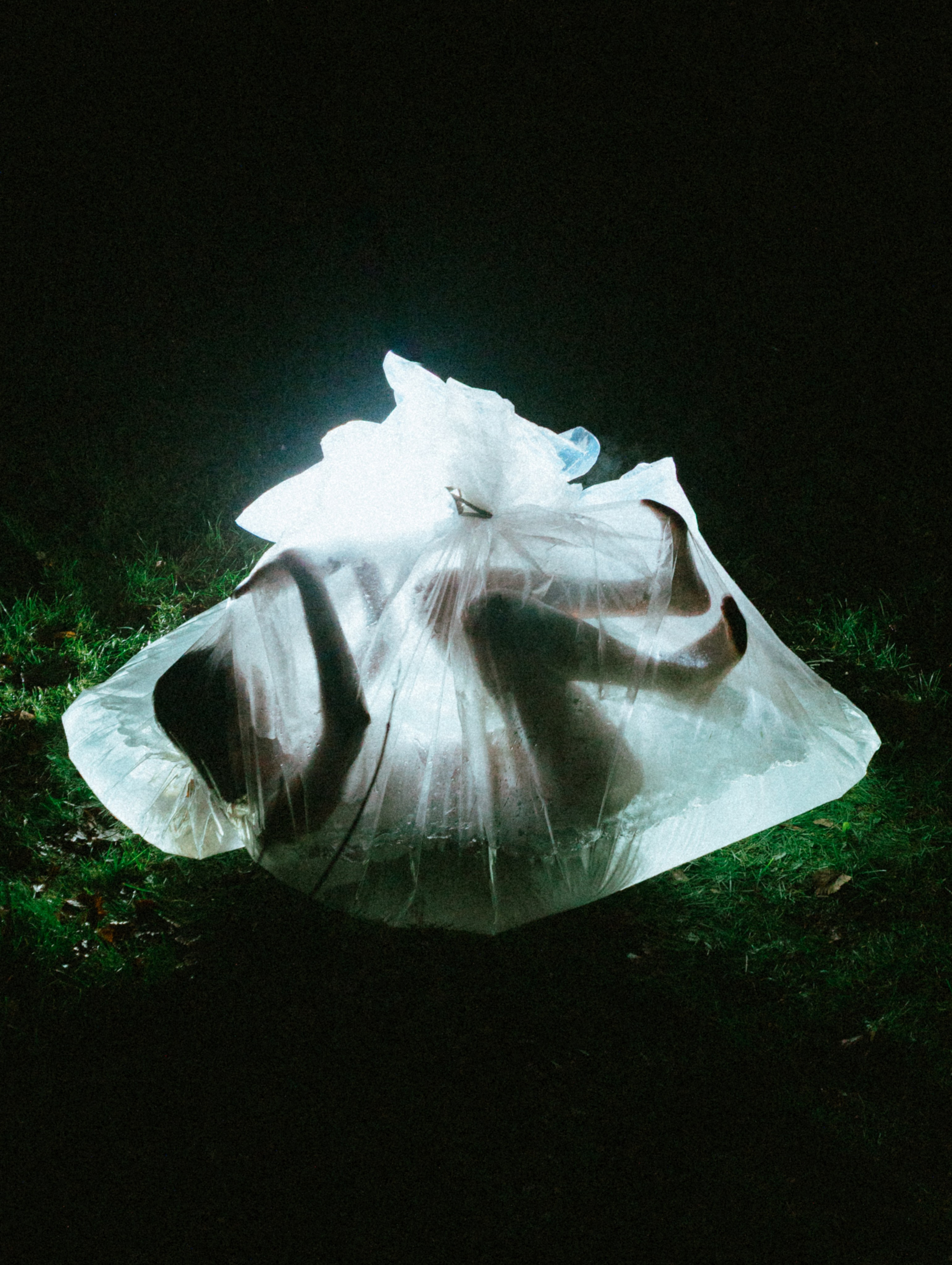 Фотограф | Киреев Семён | Москва