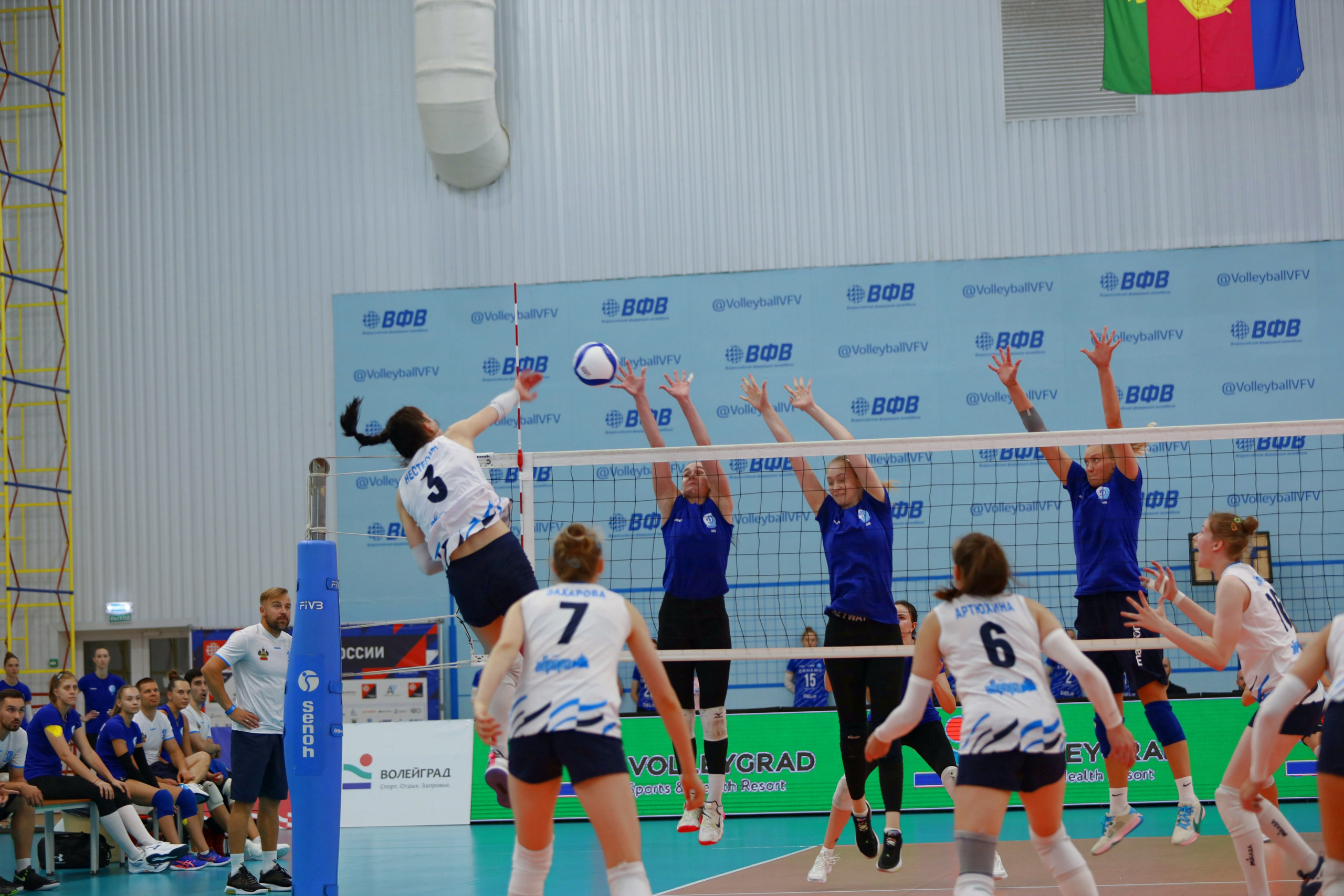 Волейбол ВФВ 09.08.24. Репортажный фотограф Анапа