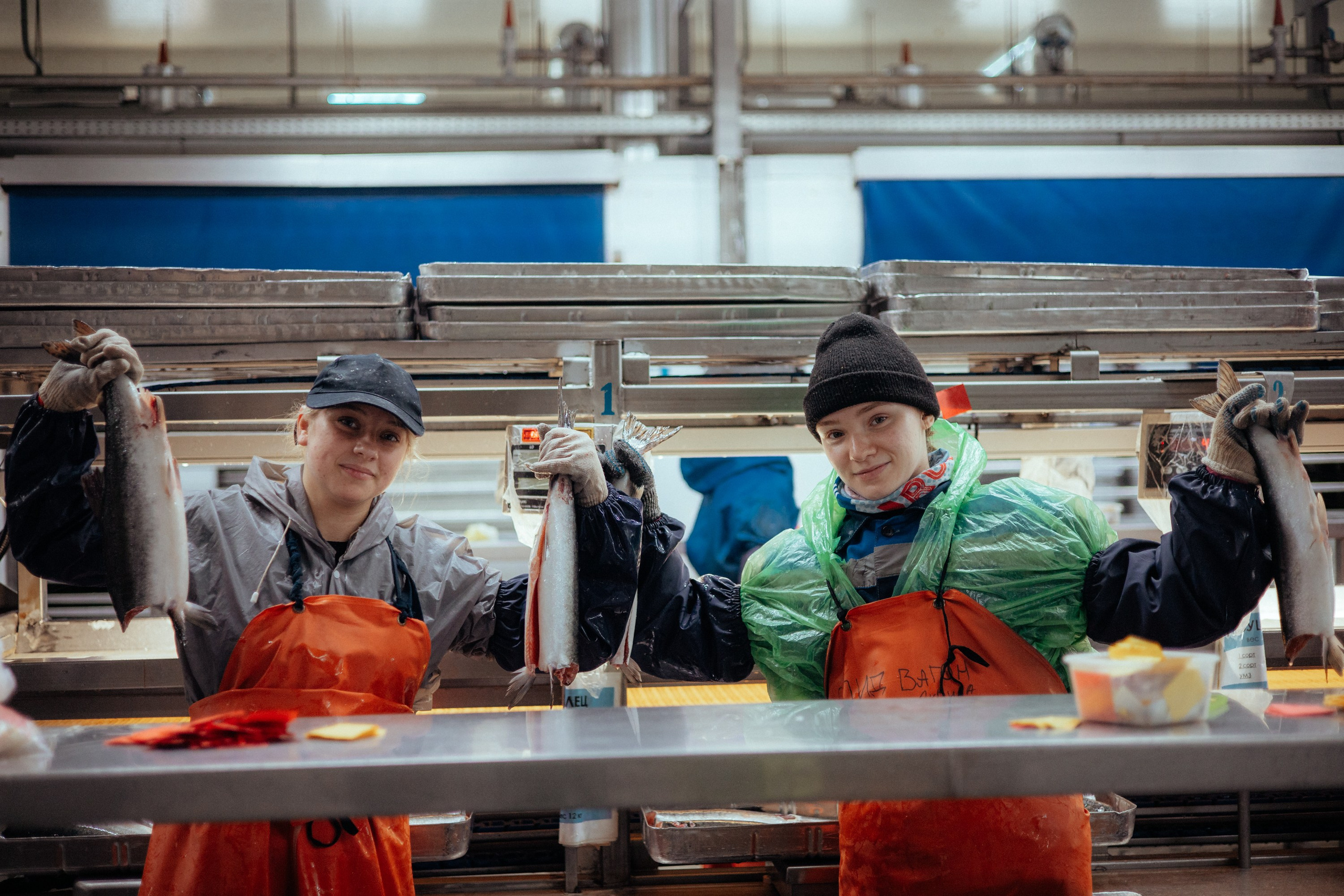 Ооо «лойд-фиш» | камчатка-2025