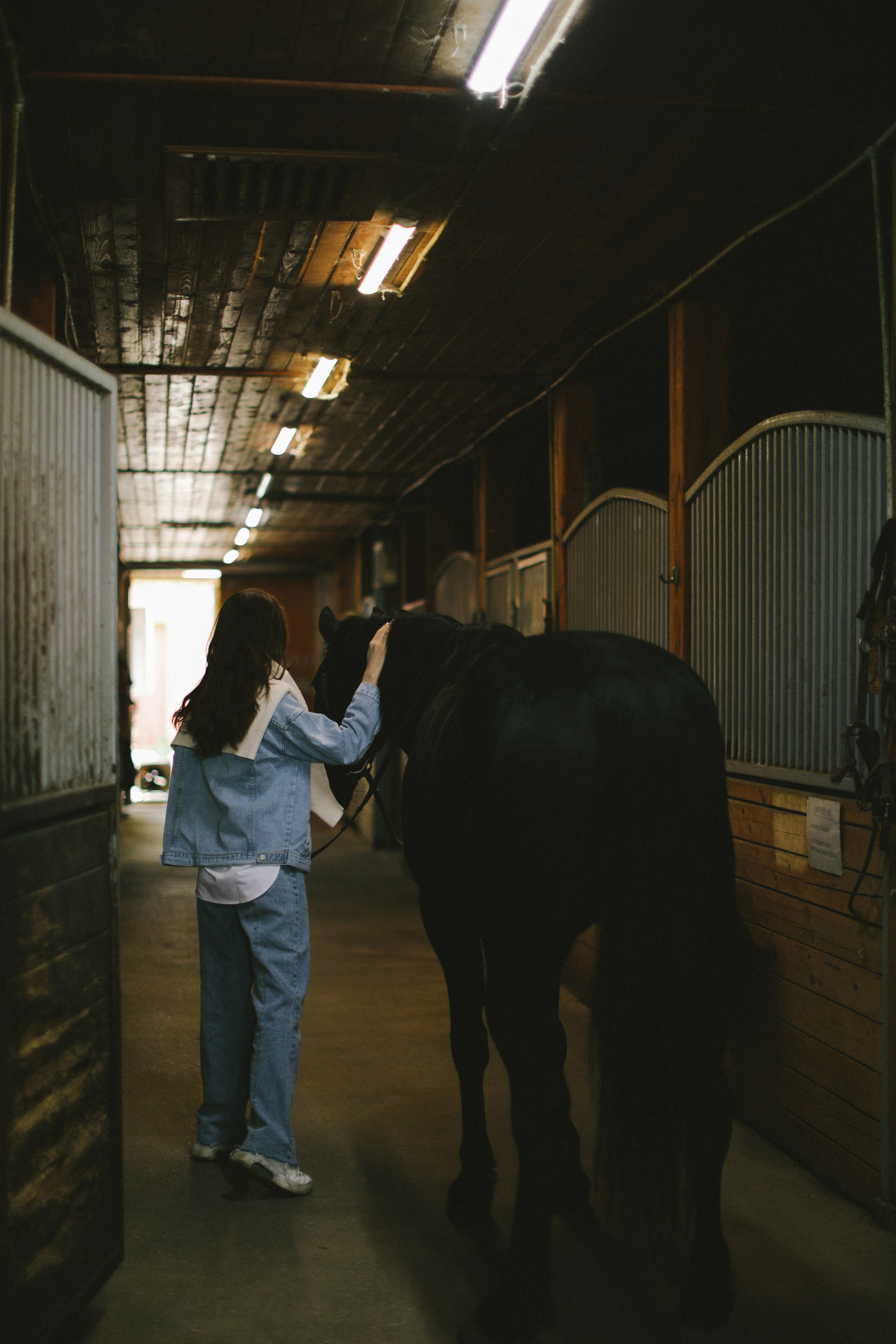 Прогулка с лошадьми 🤍. Фотограф в Нижнем Новгороде