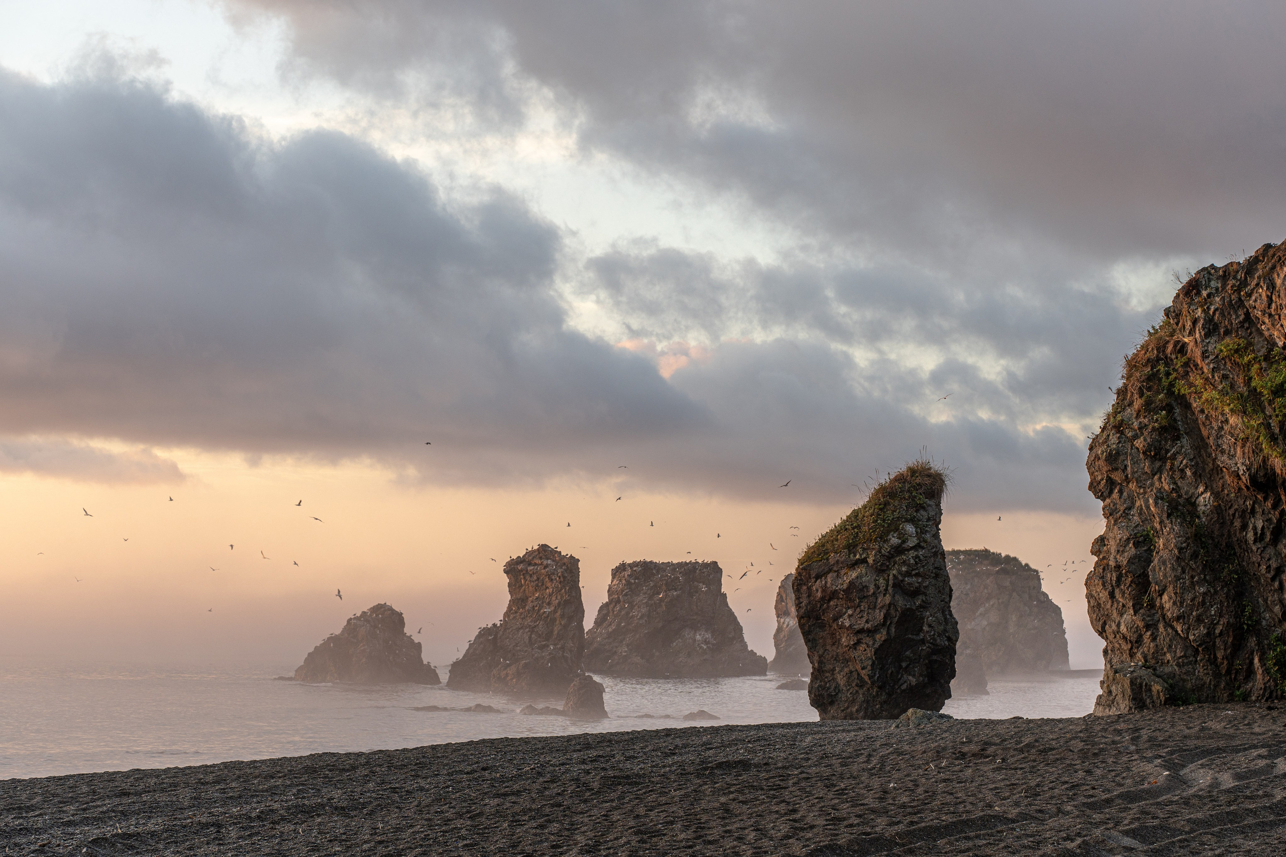 Сахалин 2025. Творческие сьемки