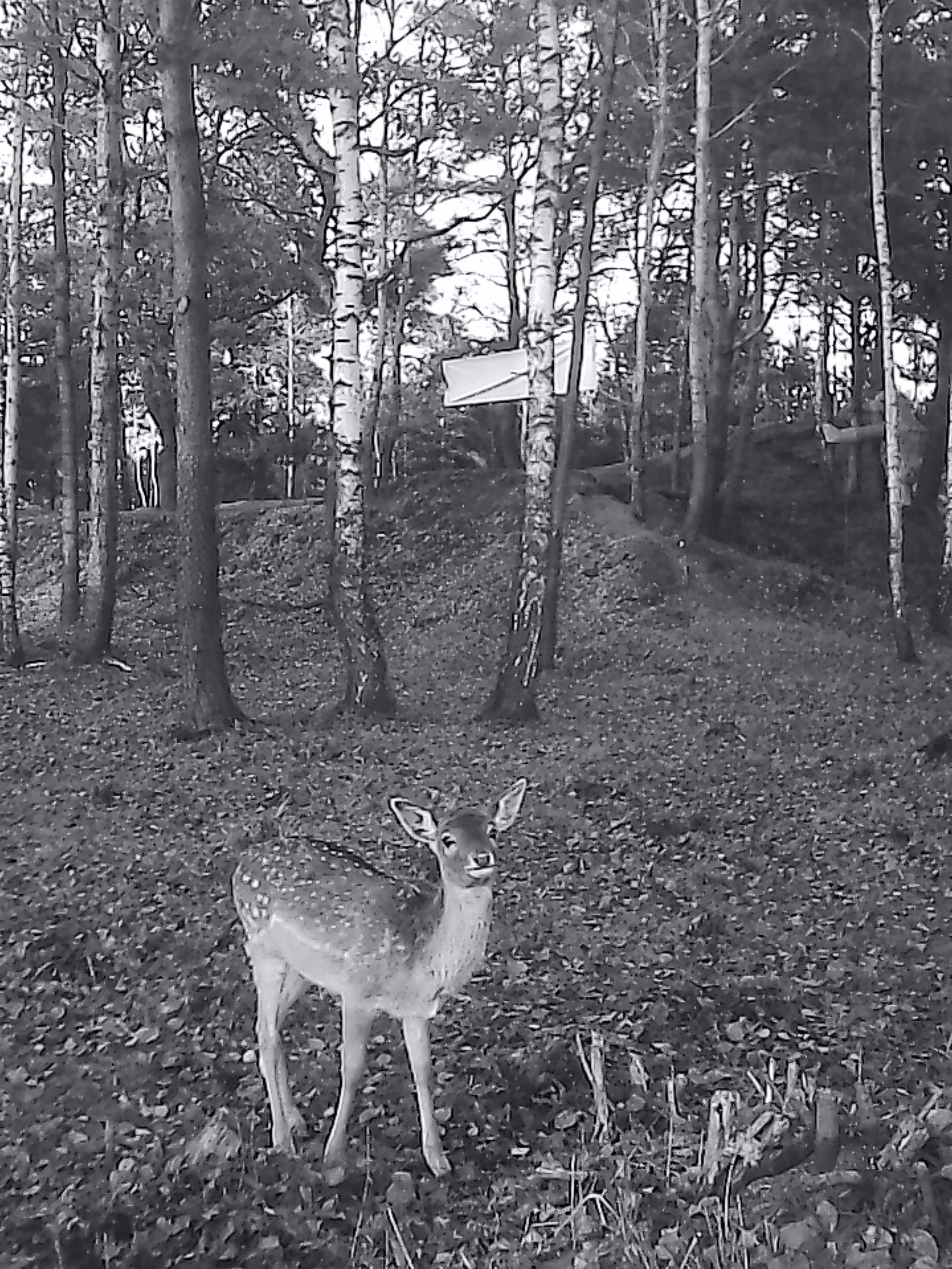 «Крошка 🐣». Anita_photo