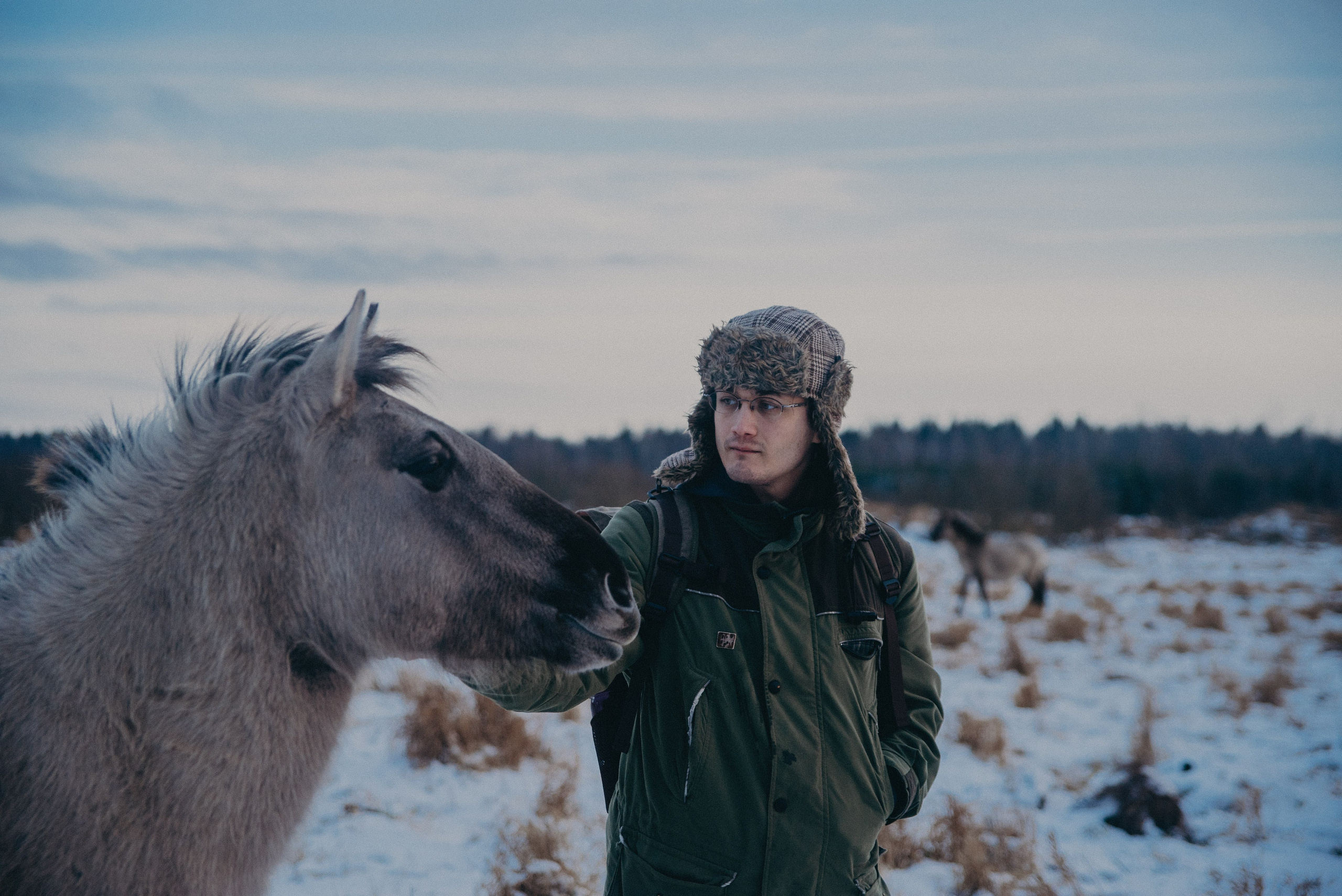 Тарпаны. Anita_photo