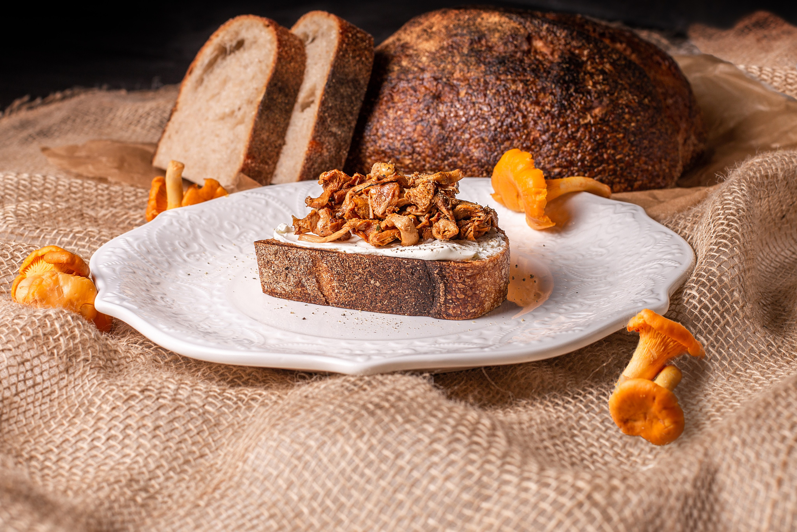 Лисички. Дмитрий Акимов фотограф в Санкт-Петербург