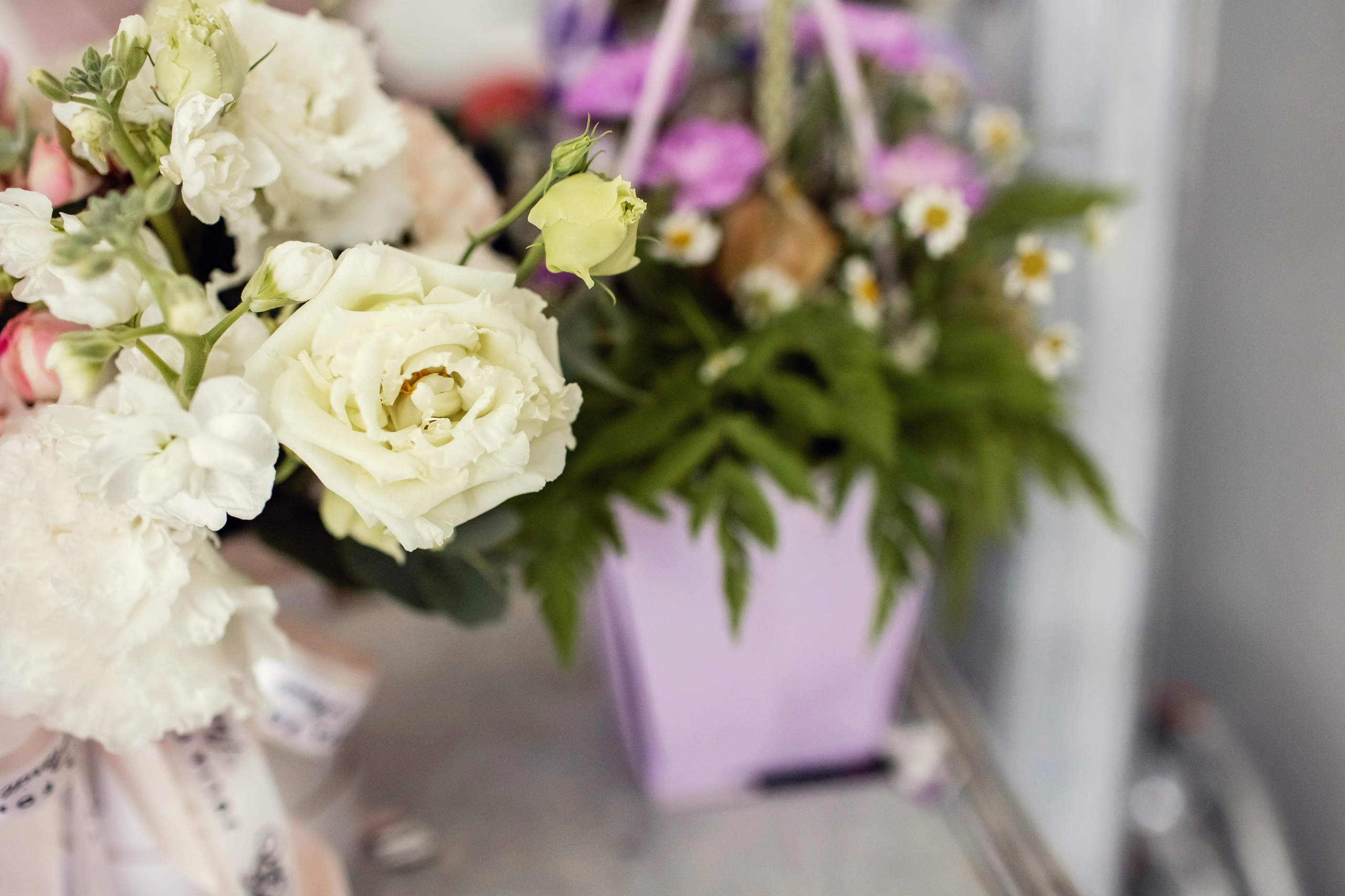 Лизе 5 лет. Детский и семейный фотограф в Москве Анна Ипатьева