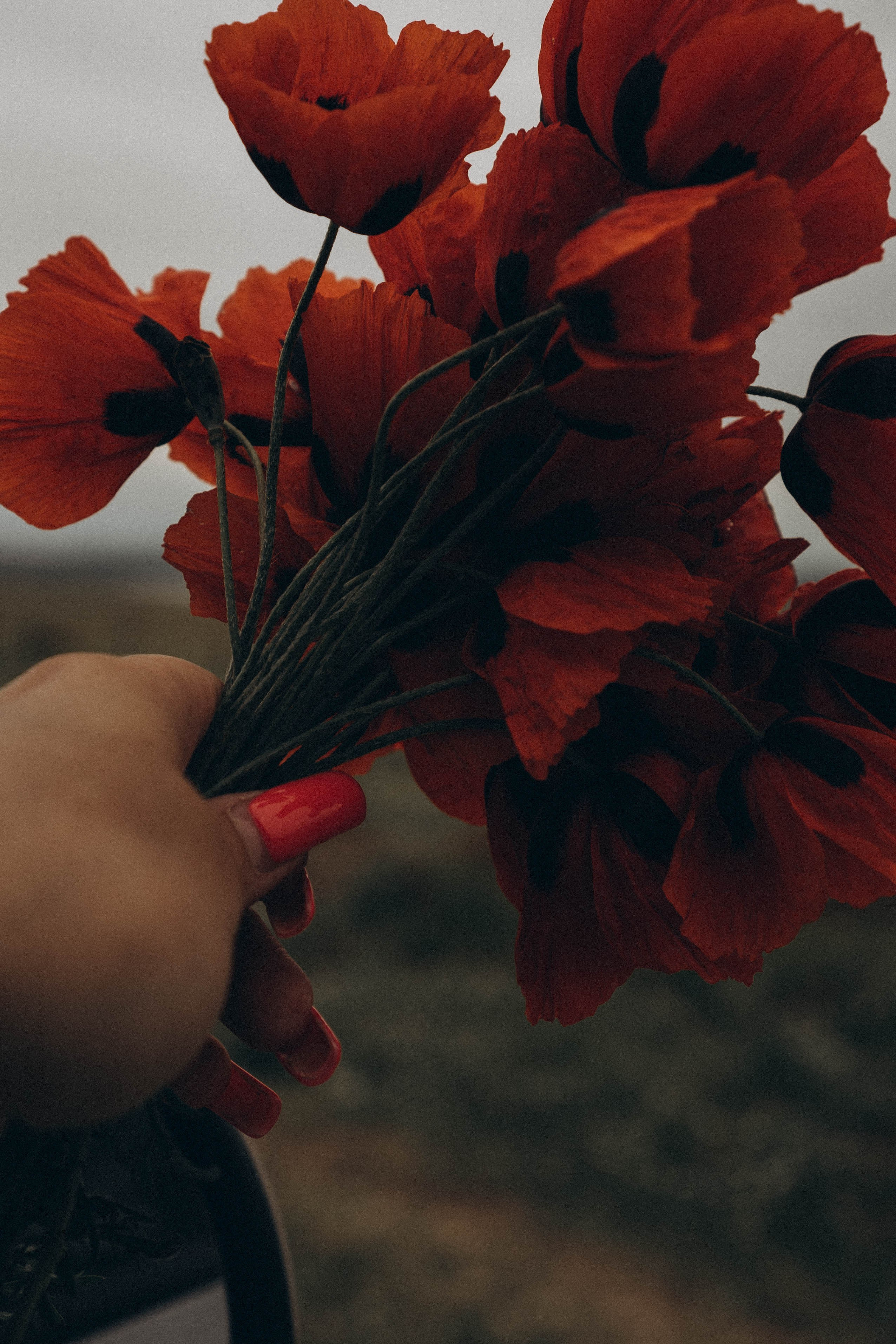 Кавказ. Профессиональный фотограф, Санкт-Петербург — Виктория Богомолова