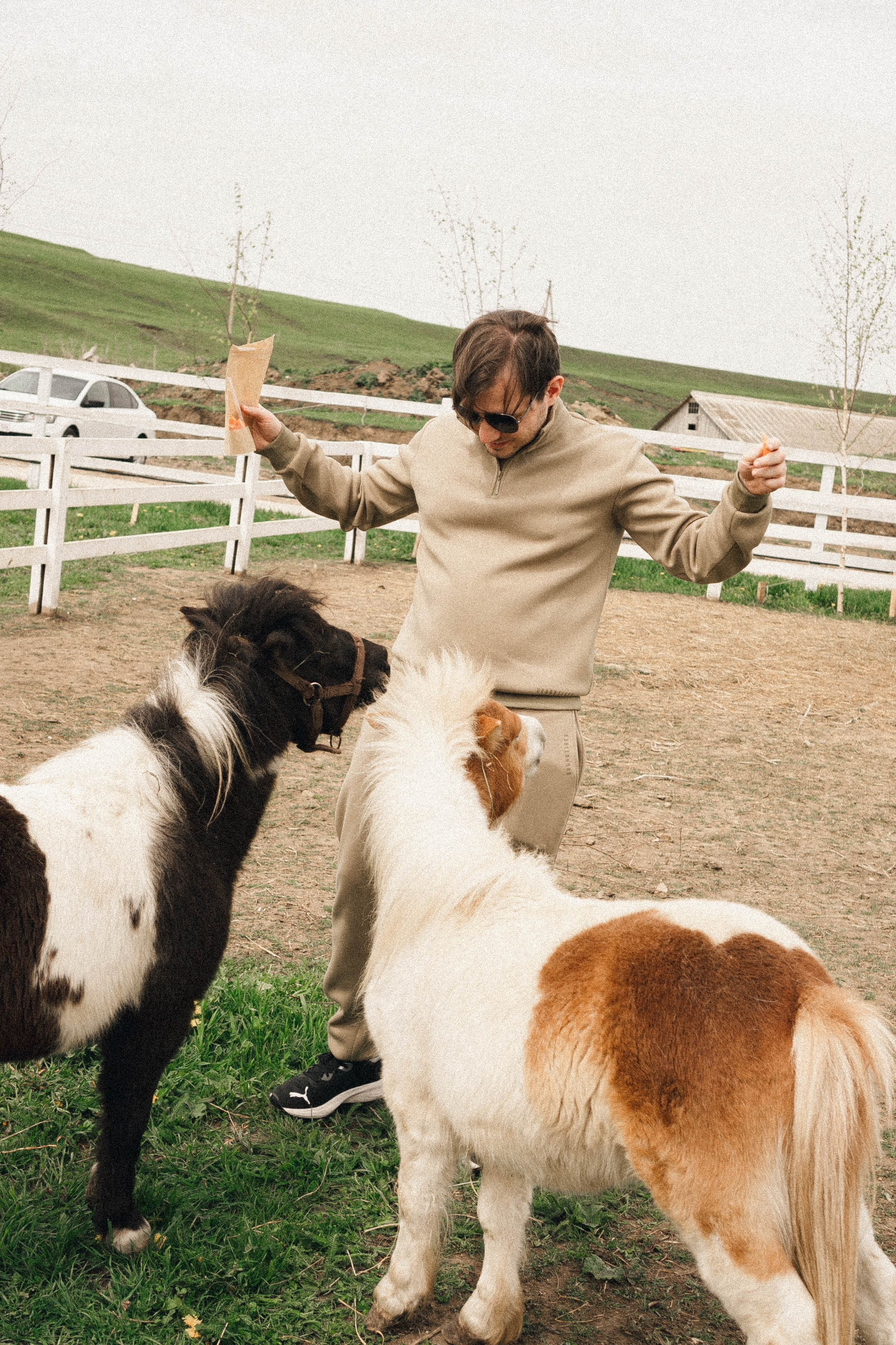 Ферма Альпак. Профессиональный фотограф, Санкт-Петербург — Виктория Богомолова