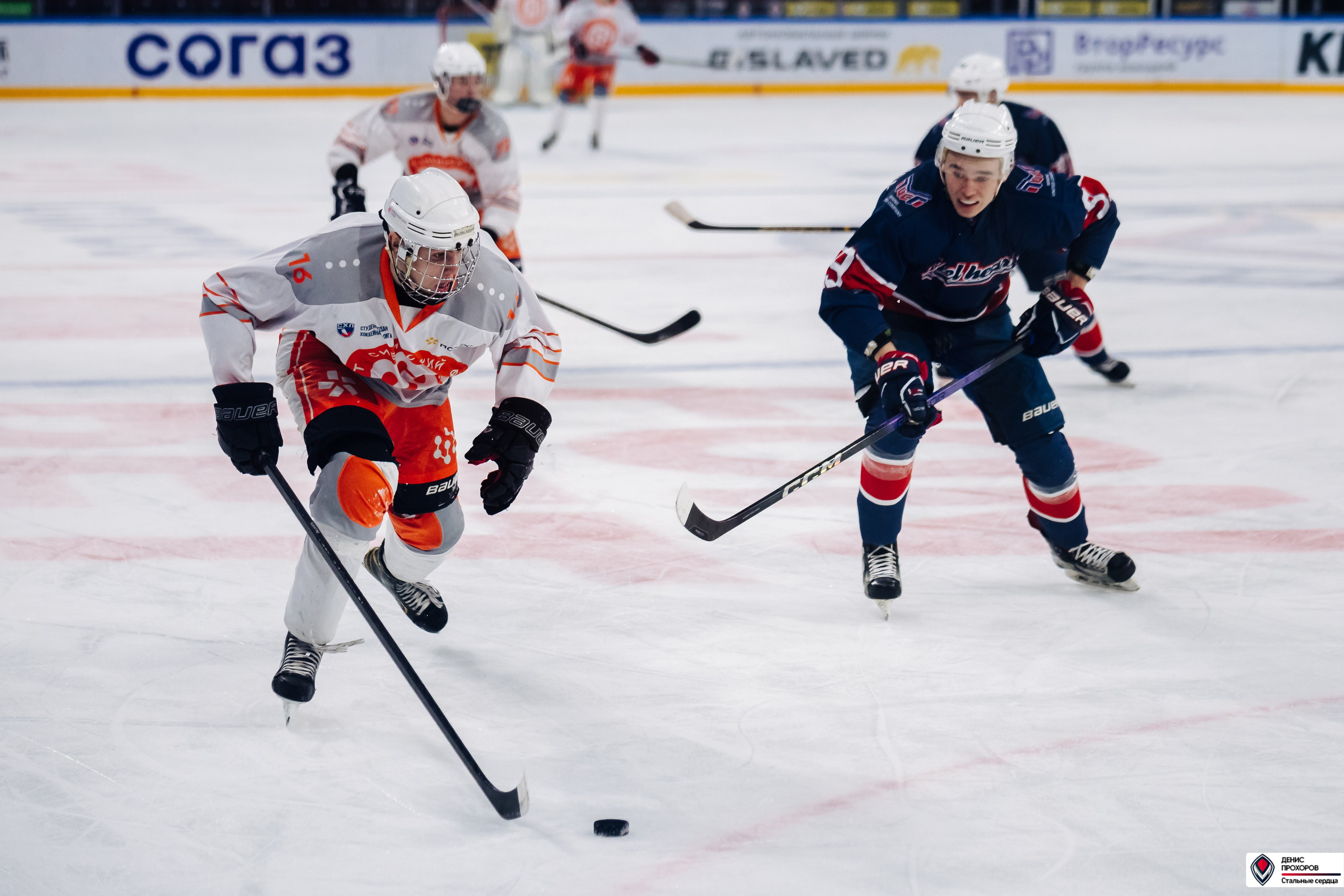 «Стальные сердца» — «СФУ» // 07-08.02.25. Денис Прохоров Фотограф в г. Магнитогорск