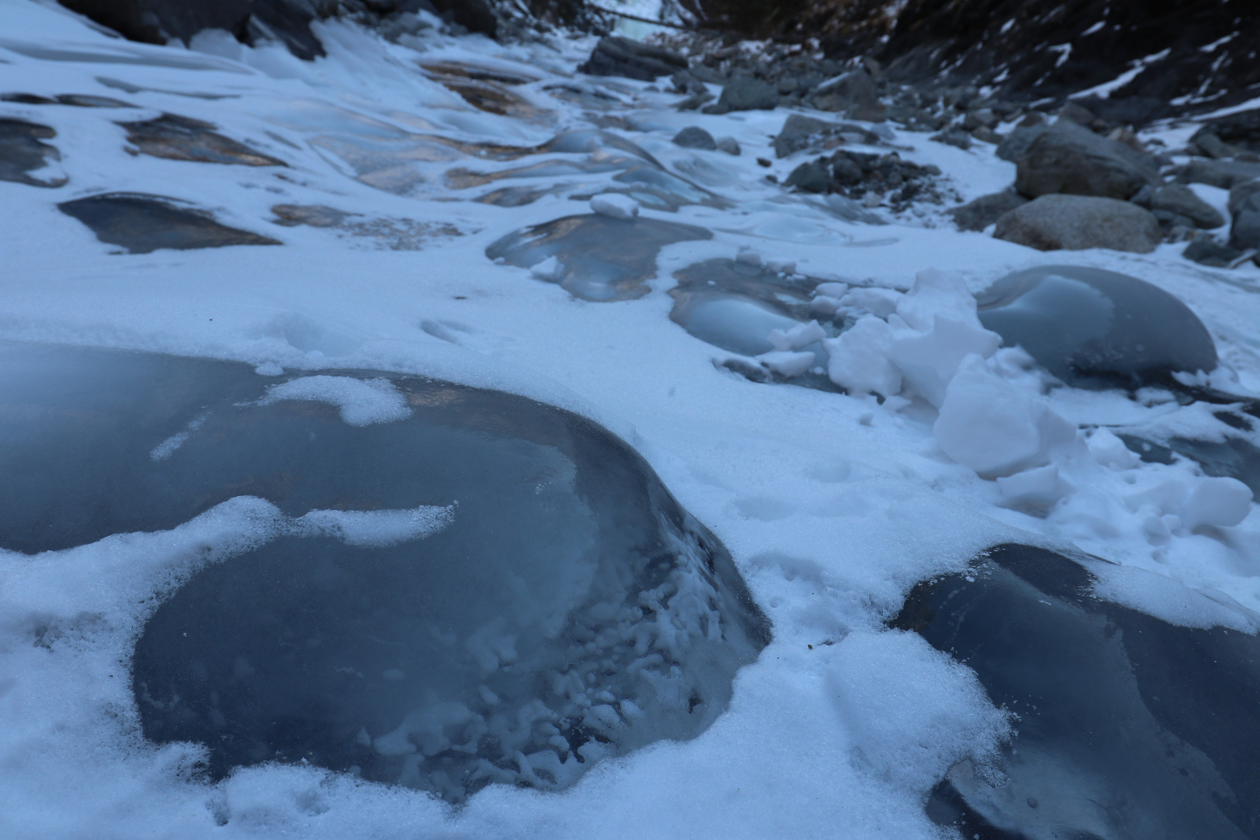 Аршан. Январь 2022. Путешественник-фотограф из Санкт-Петербурга Татьяна Свистулина