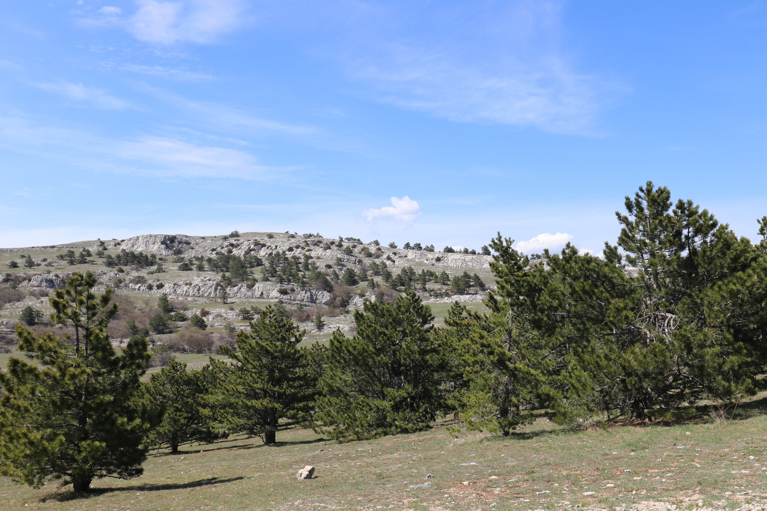Крым. ЮБК (Бахчисарай, Кастрополь, Таракташская тропа). Май 2021. Путешественник-фотограф из Санкт-Петербурга Татьяна Свистулина