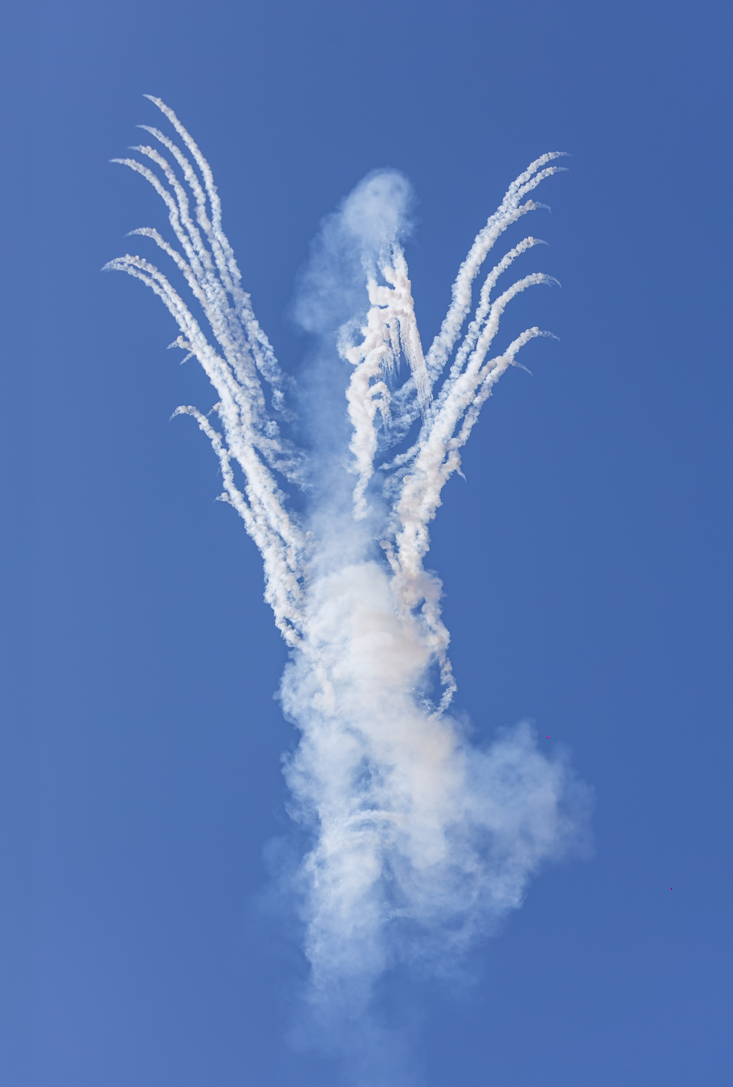 Крылья Пармы 2025 г. KATERINA VINOKUROVA ФОТОГРАФ ПЕРМЬ