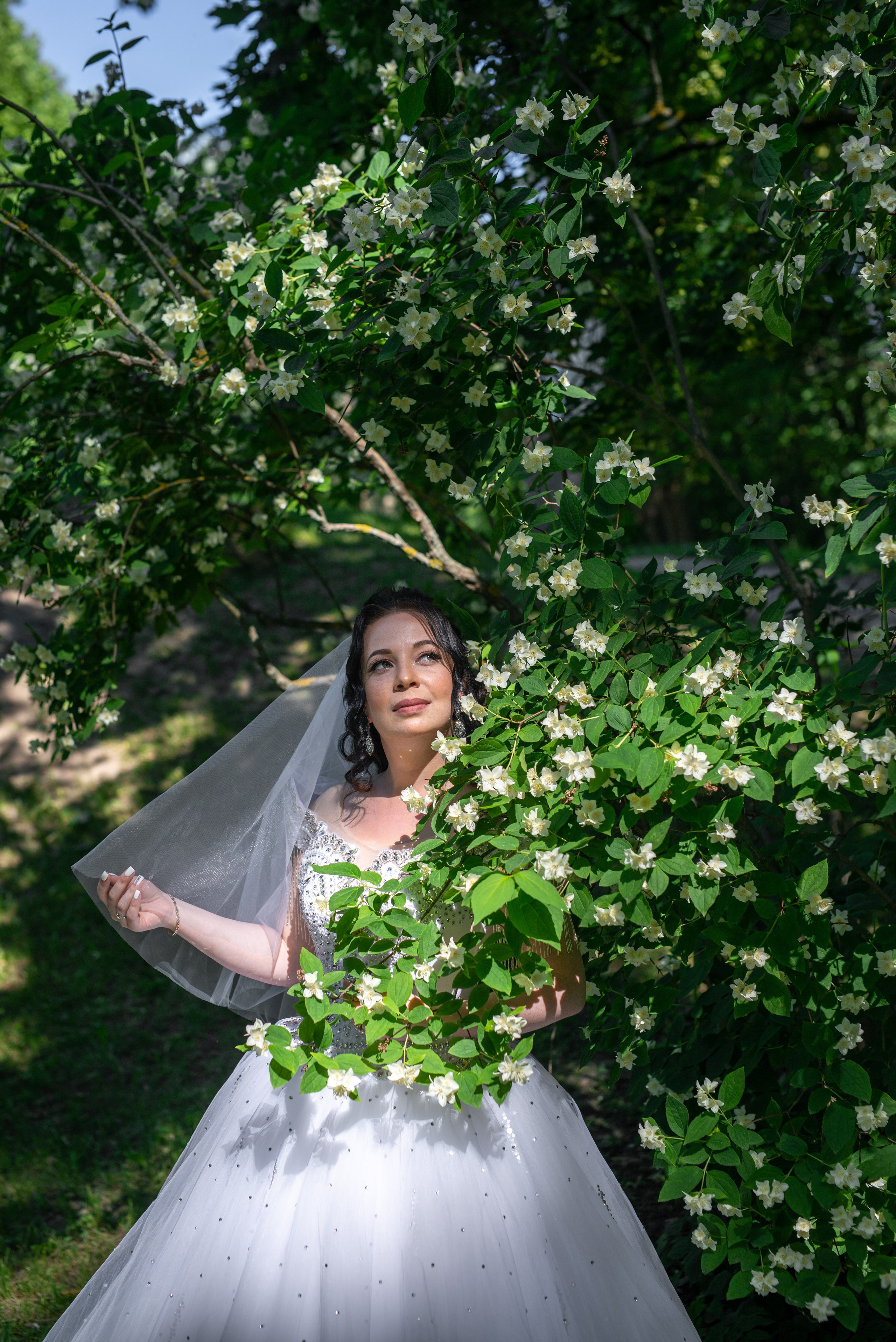 Фотосессия в Пушкине в Александровском, Екатерининском парке и Летнем саду. Портретный, семейный и свадебный фотограф в Санкт-Петербурге и в Пушкине Ширяев Денис