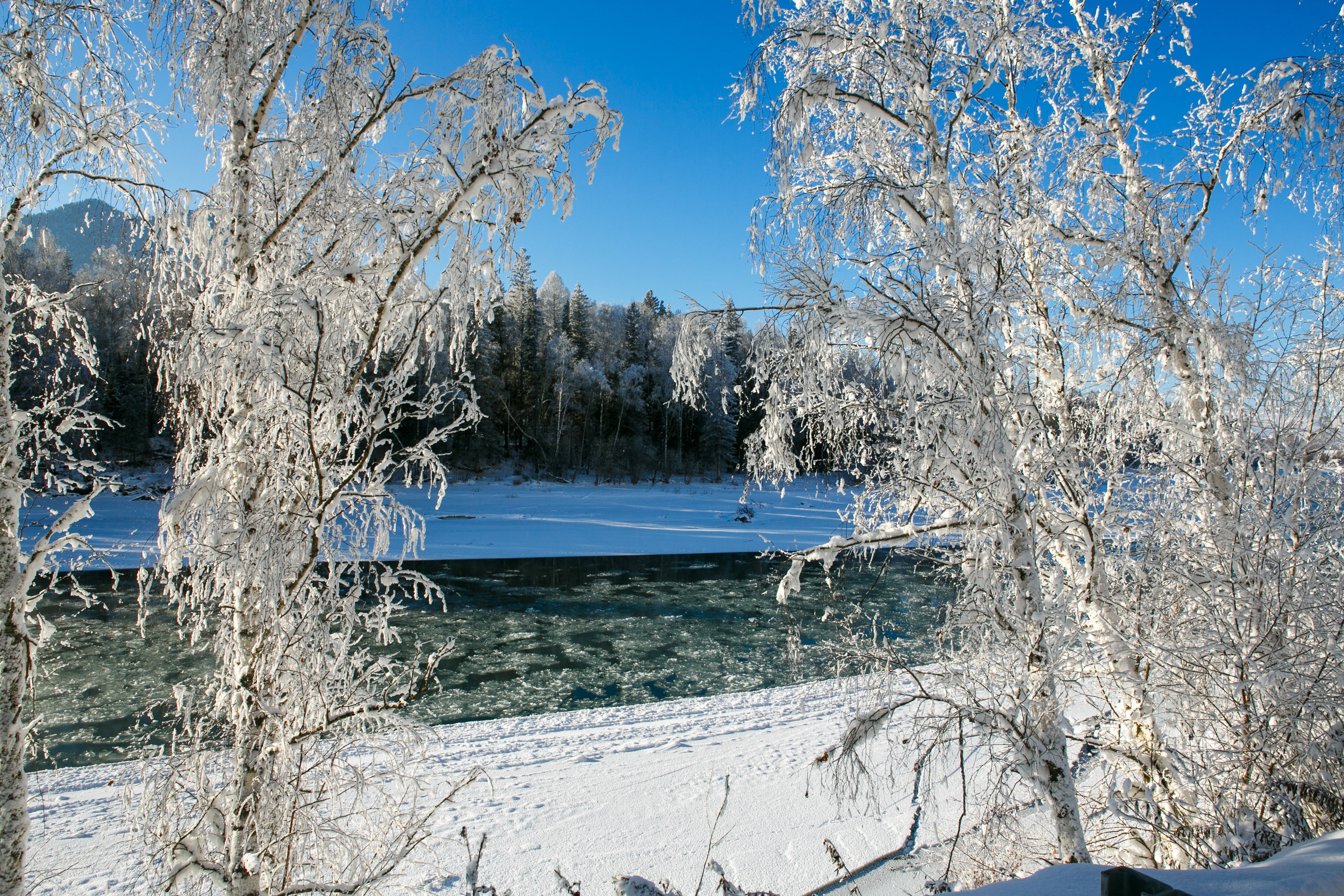 Галерея моих работ. AISA Foto