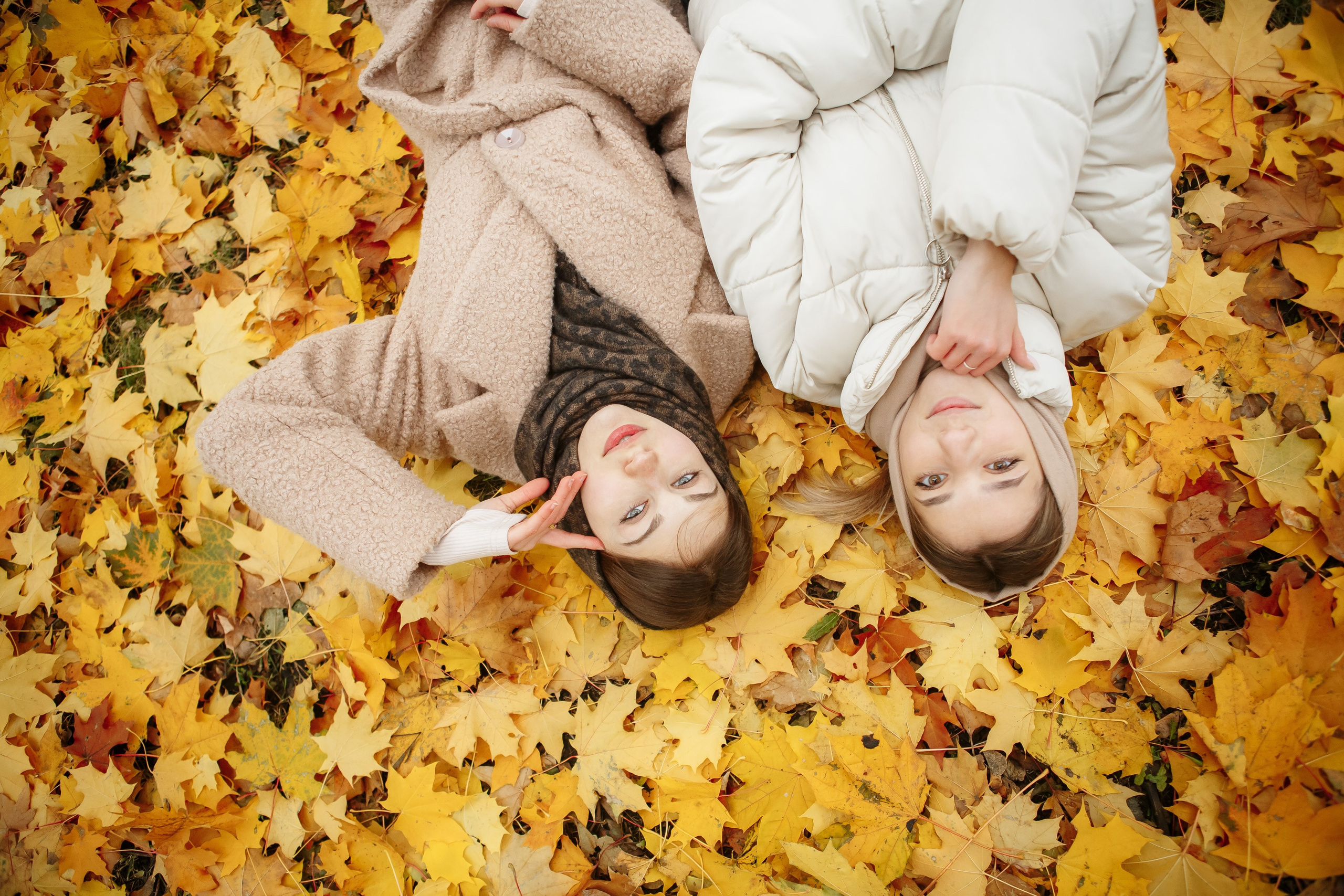 Осень Гимназия 12 11 В 2023 г. Свадебный и портретный Фотограф в Липецке Дмитрий Котюков