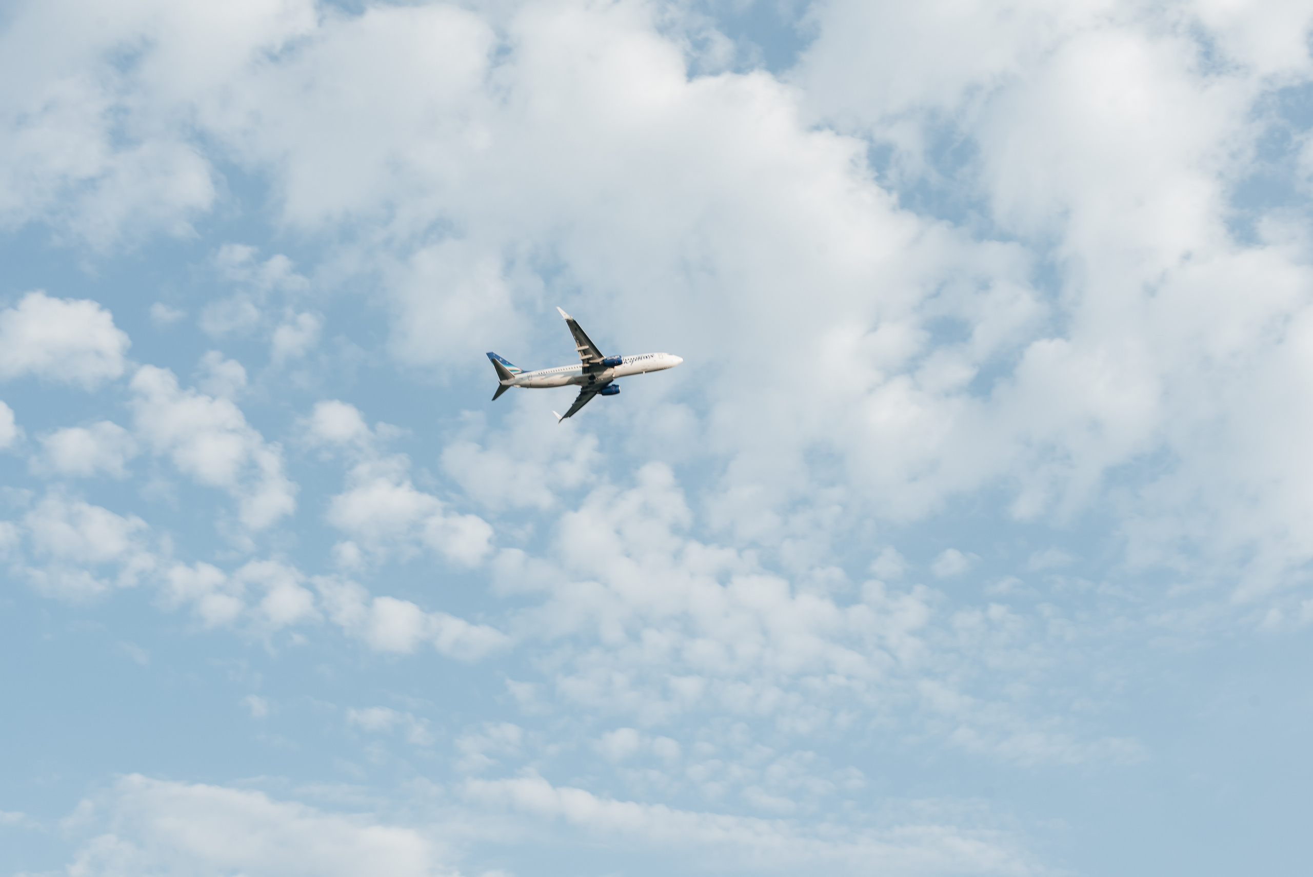 Фотосессия love story на природе. Фотограф в Новосибирске Юлия Туманова