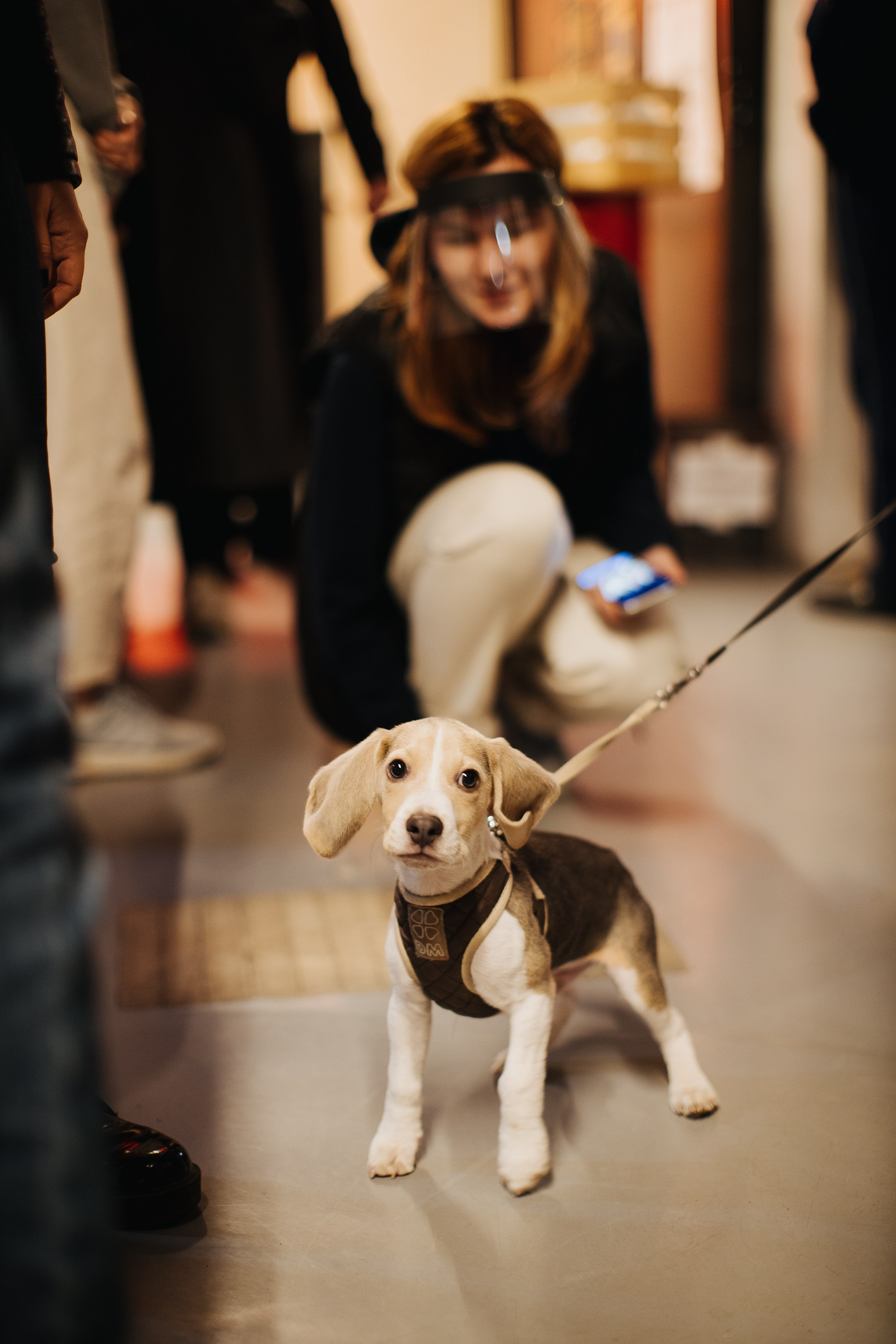 17–18 октября 2020 в «Инлиберти» / фото Валерий Белобеев. Фотоотчеты «Ламбада-маркета»
