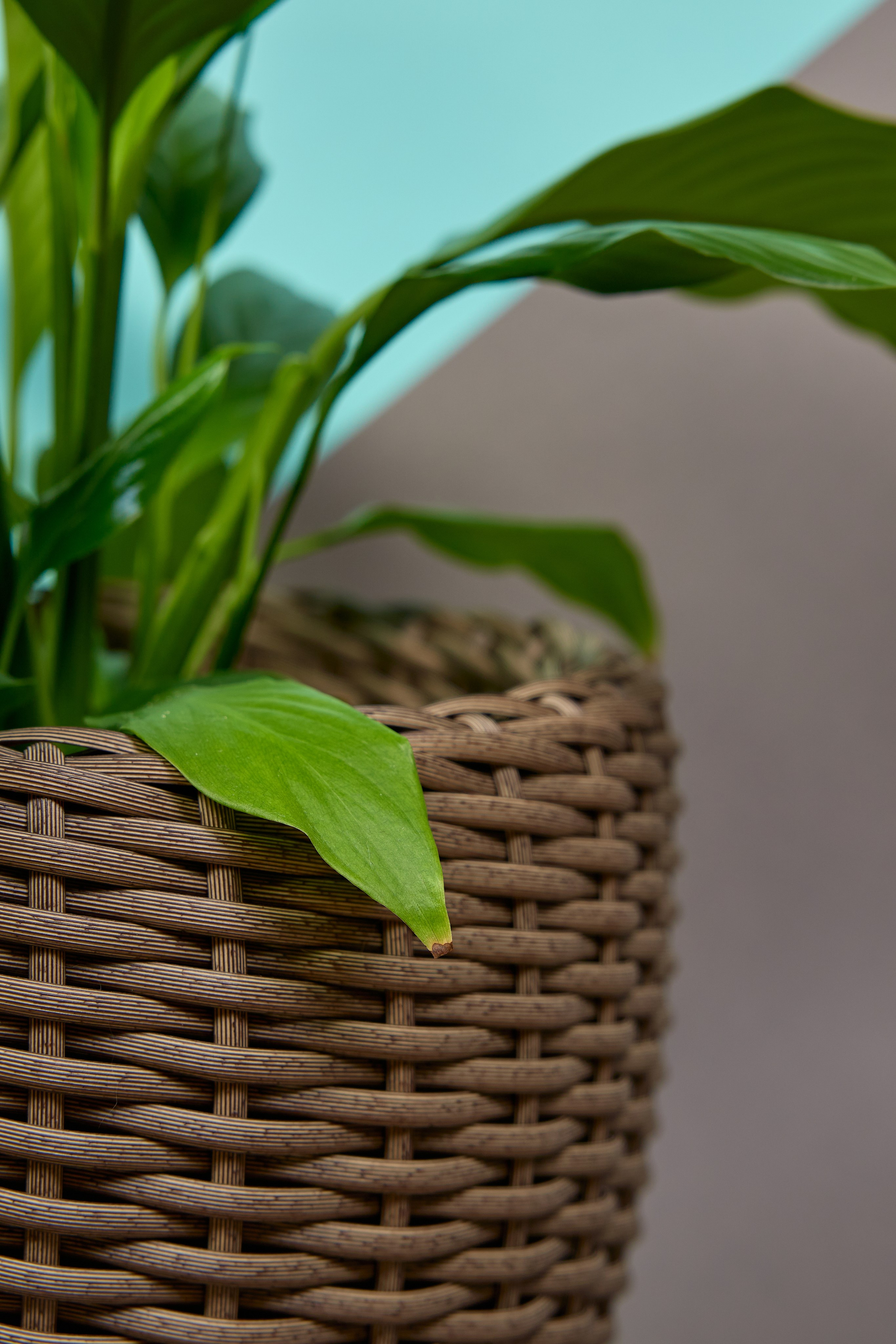 Фотосъёмка для маркетплейсов. Предметный и репортажный фотограф Алексей Кротов