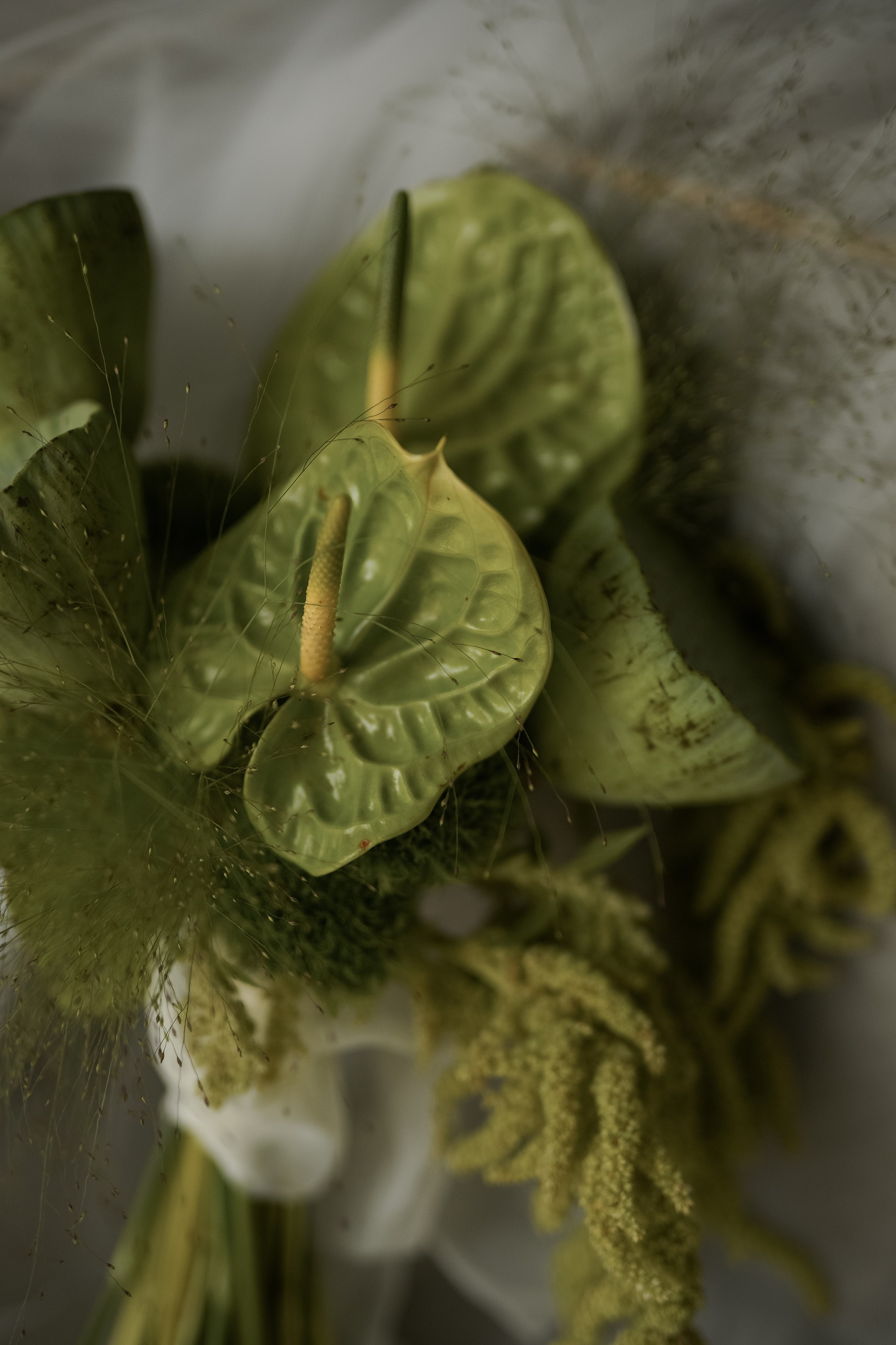 Свадебный фотограф Марина Попова