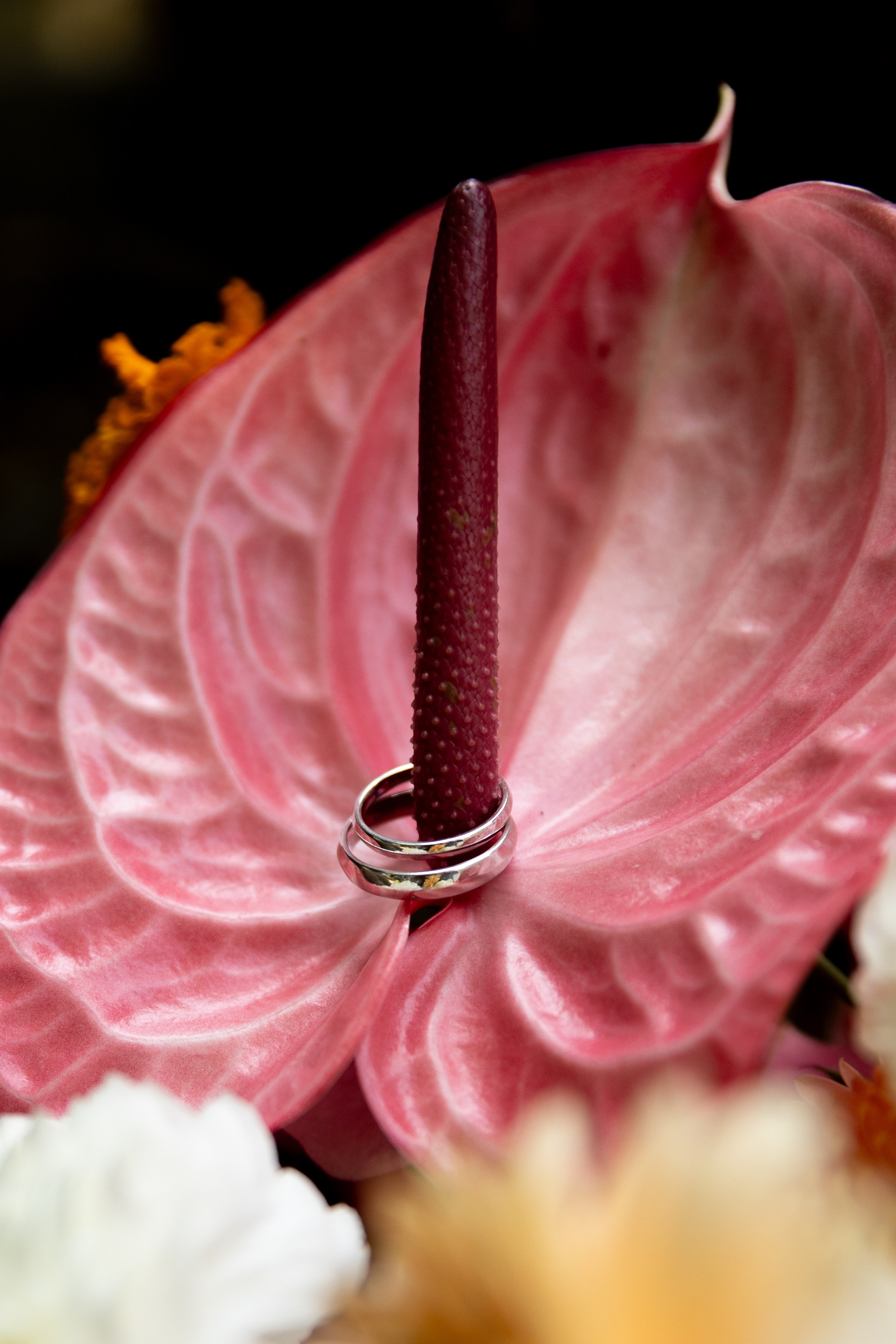 Таня и Ваня, площадка «Таёжный». Свадебный фотограф | Москва