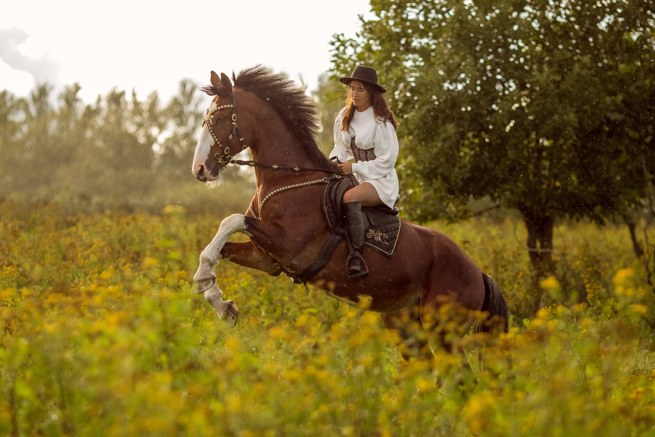 Платье в аренду на фотосессию в СПб