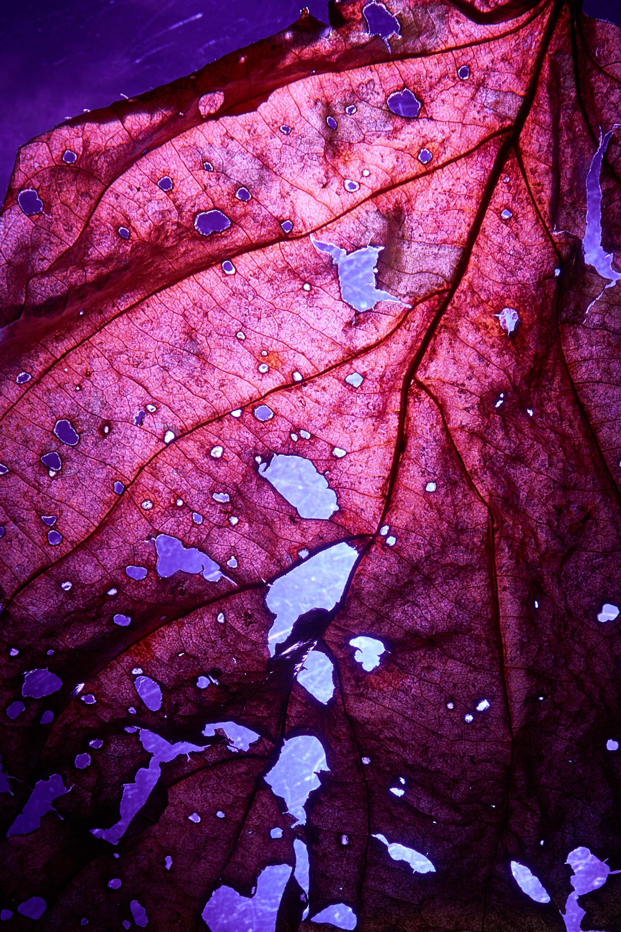 «Красок Тьма Полна». Арт-фотограф во Владивостоке Дмитрий Осипчук