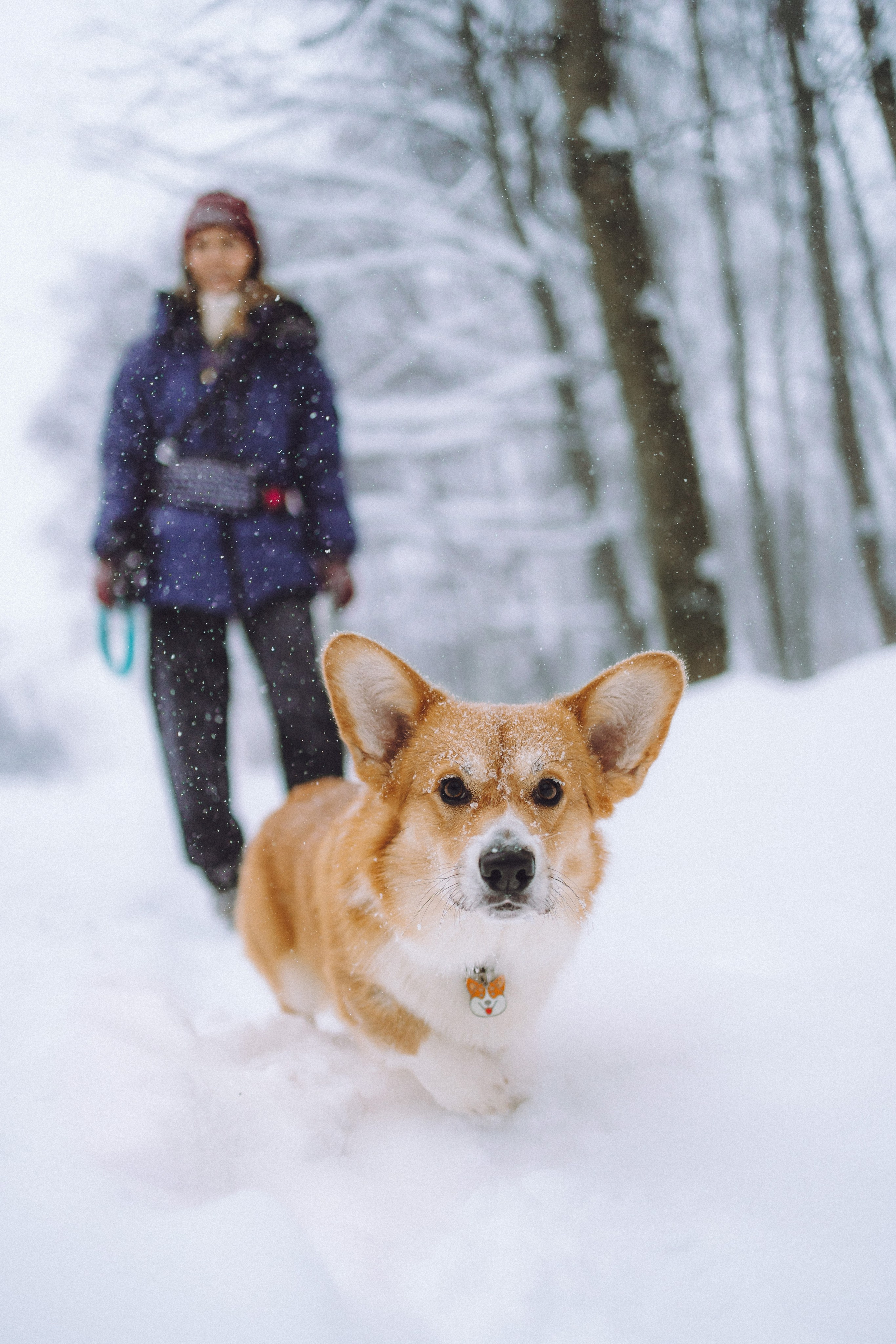 Юля и Юпитер