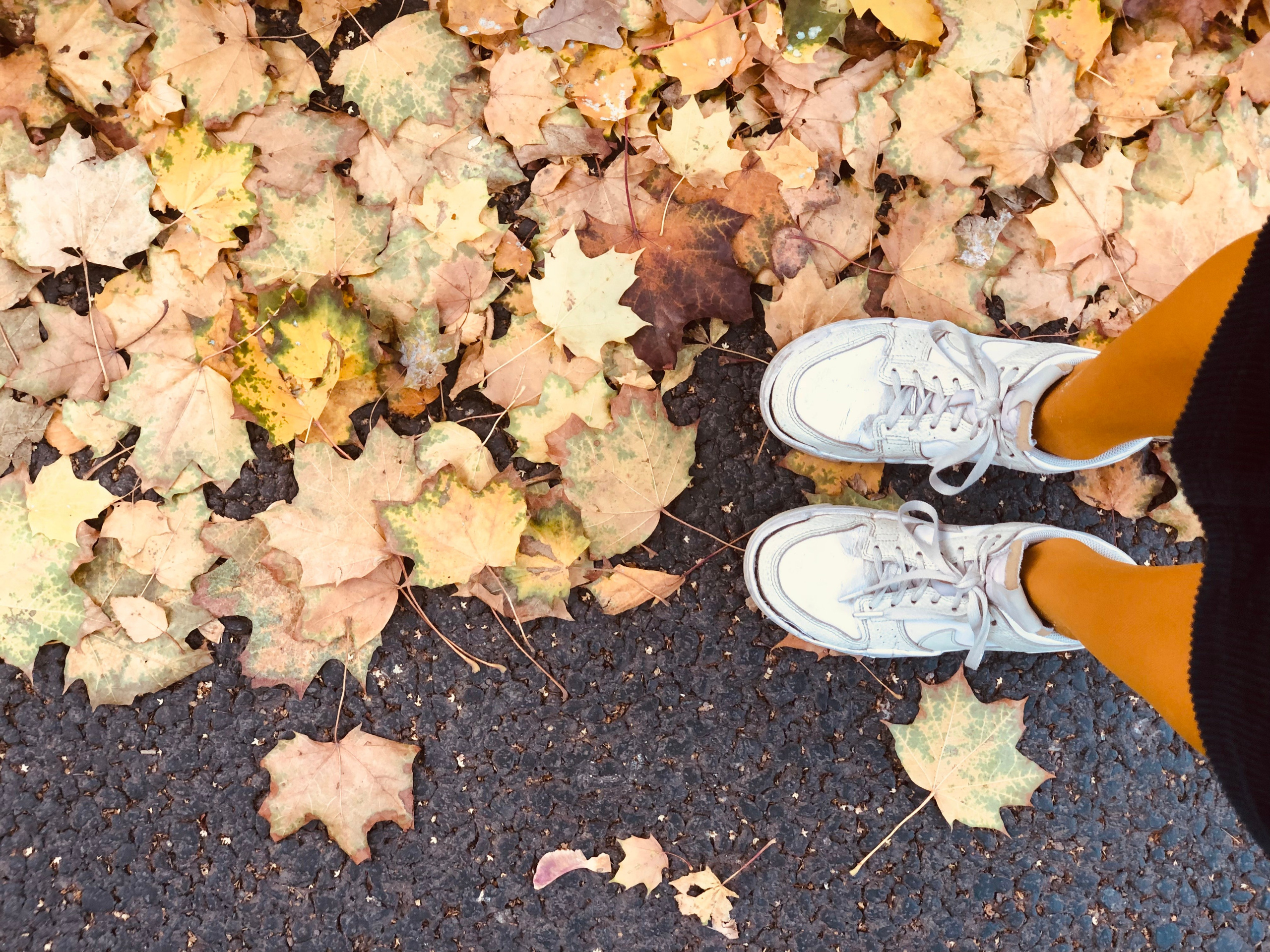Сентябрь. Семейный, Свадебный фотограф СПБ Питер— Романова Екатерина