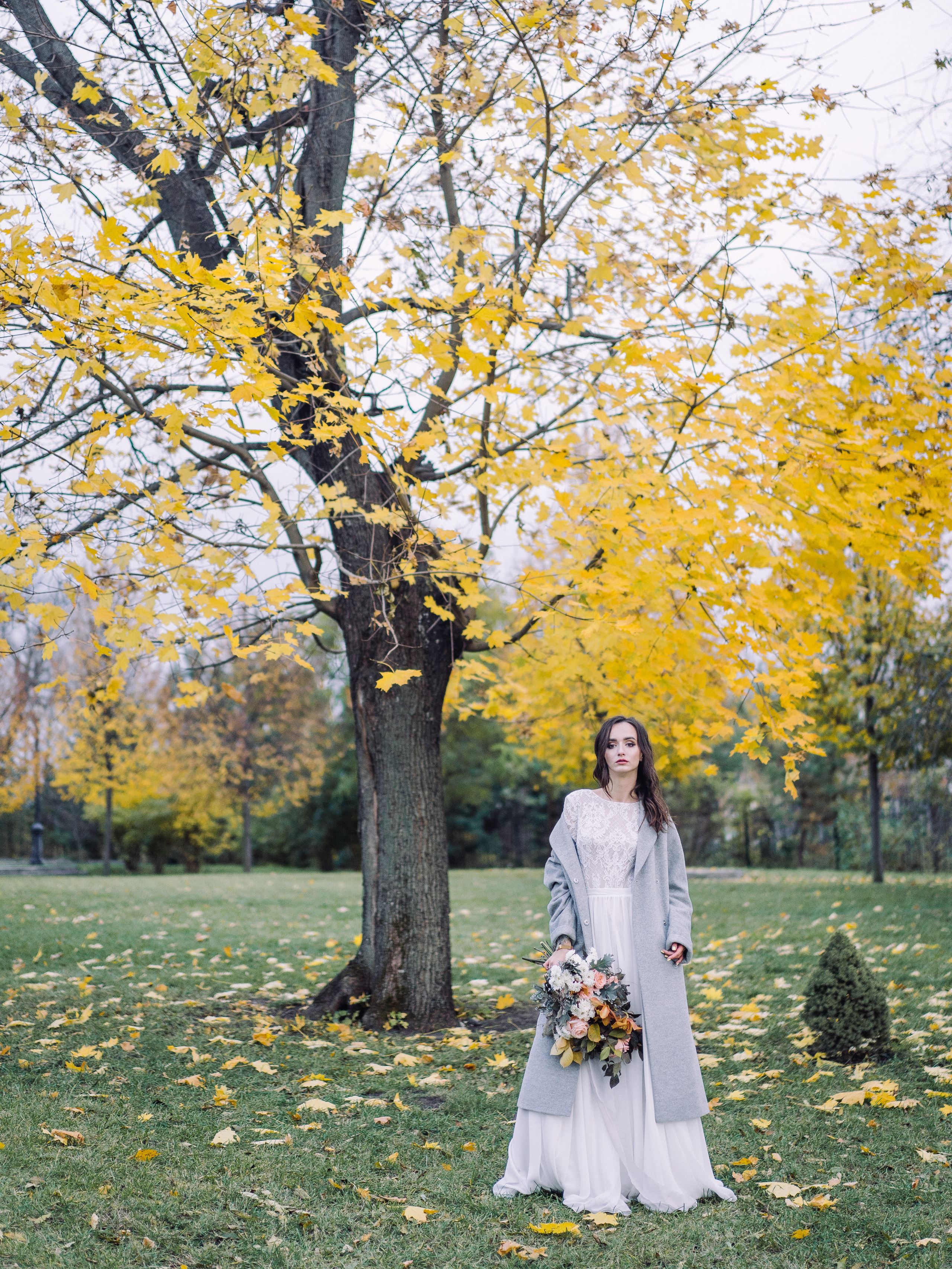 Осенняя прогулка. On-line обучение фотографии у Алексея Комарова